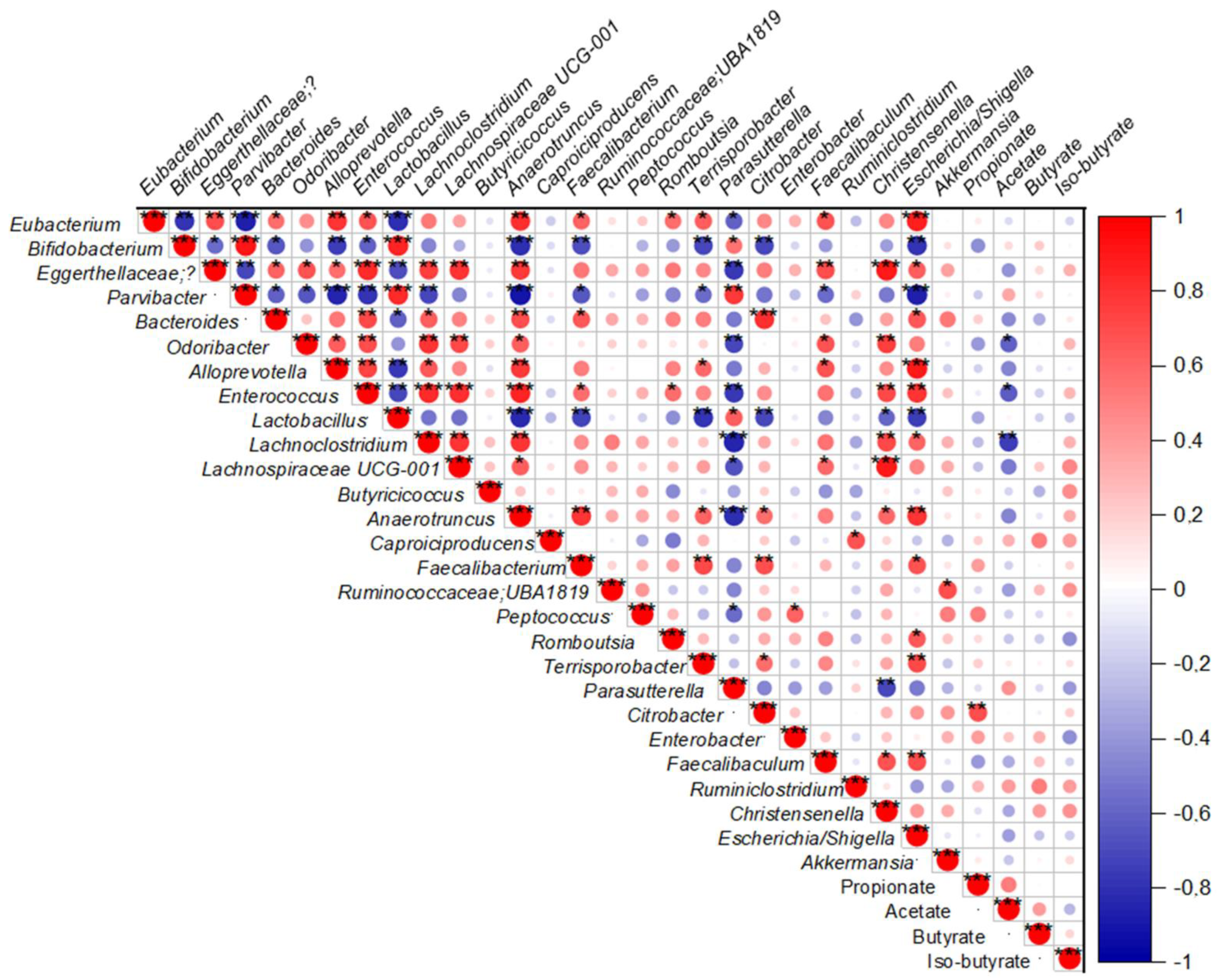 Ijms 23 13675 g006 Ijms 23 13675 g006