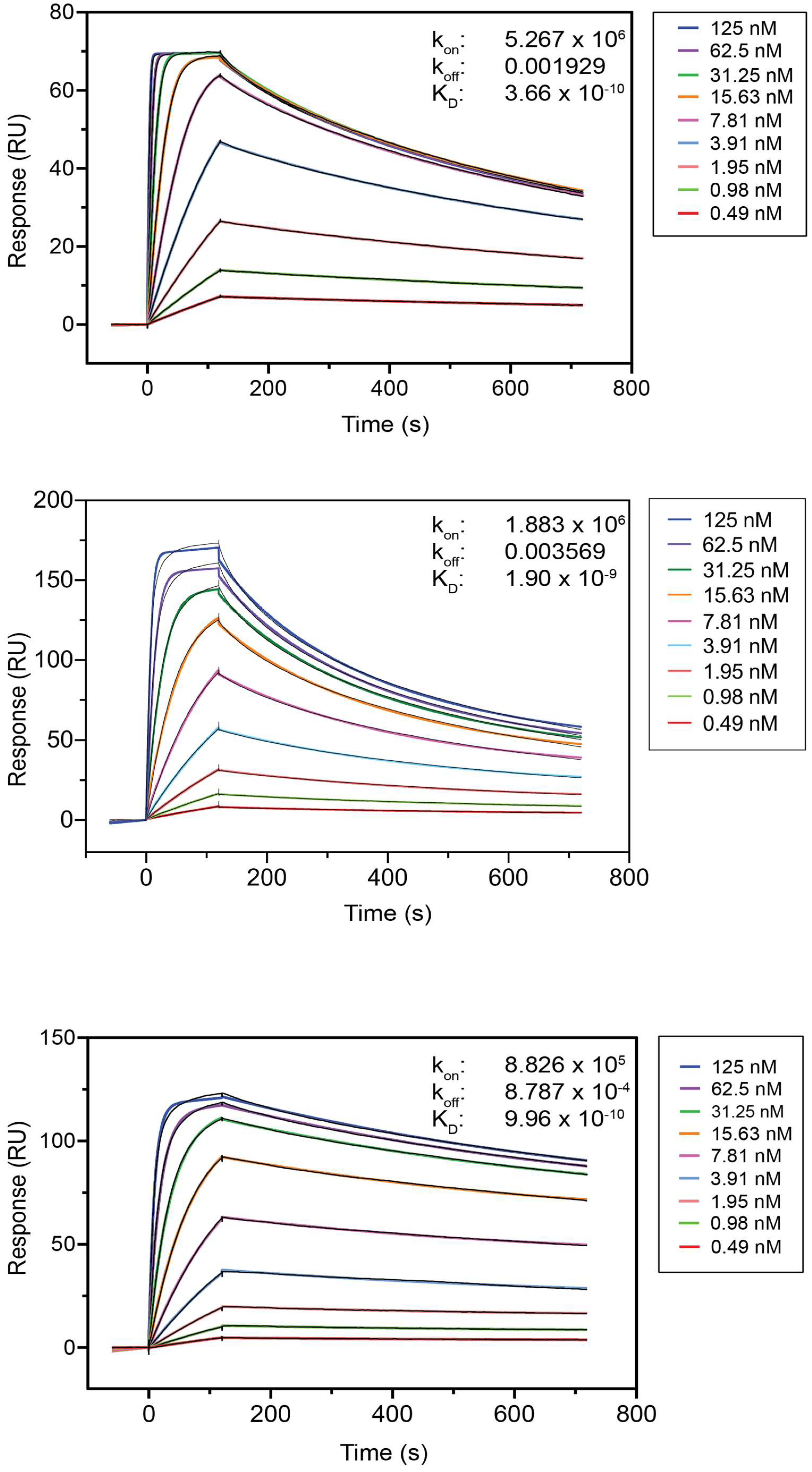 Ijms 23 13687 g002 Ijms 23 13687 g002