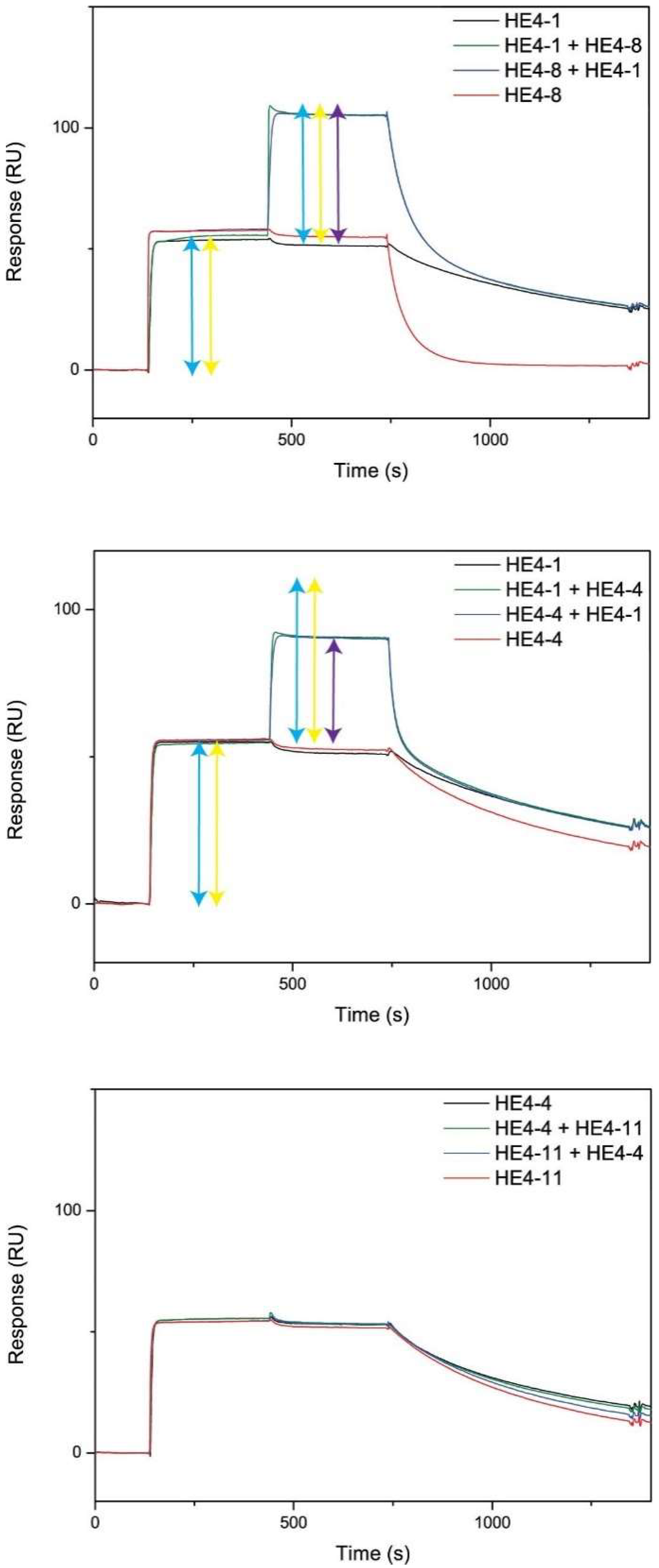 Ijms 23 13687 g003 Ijms 23 13687 g003