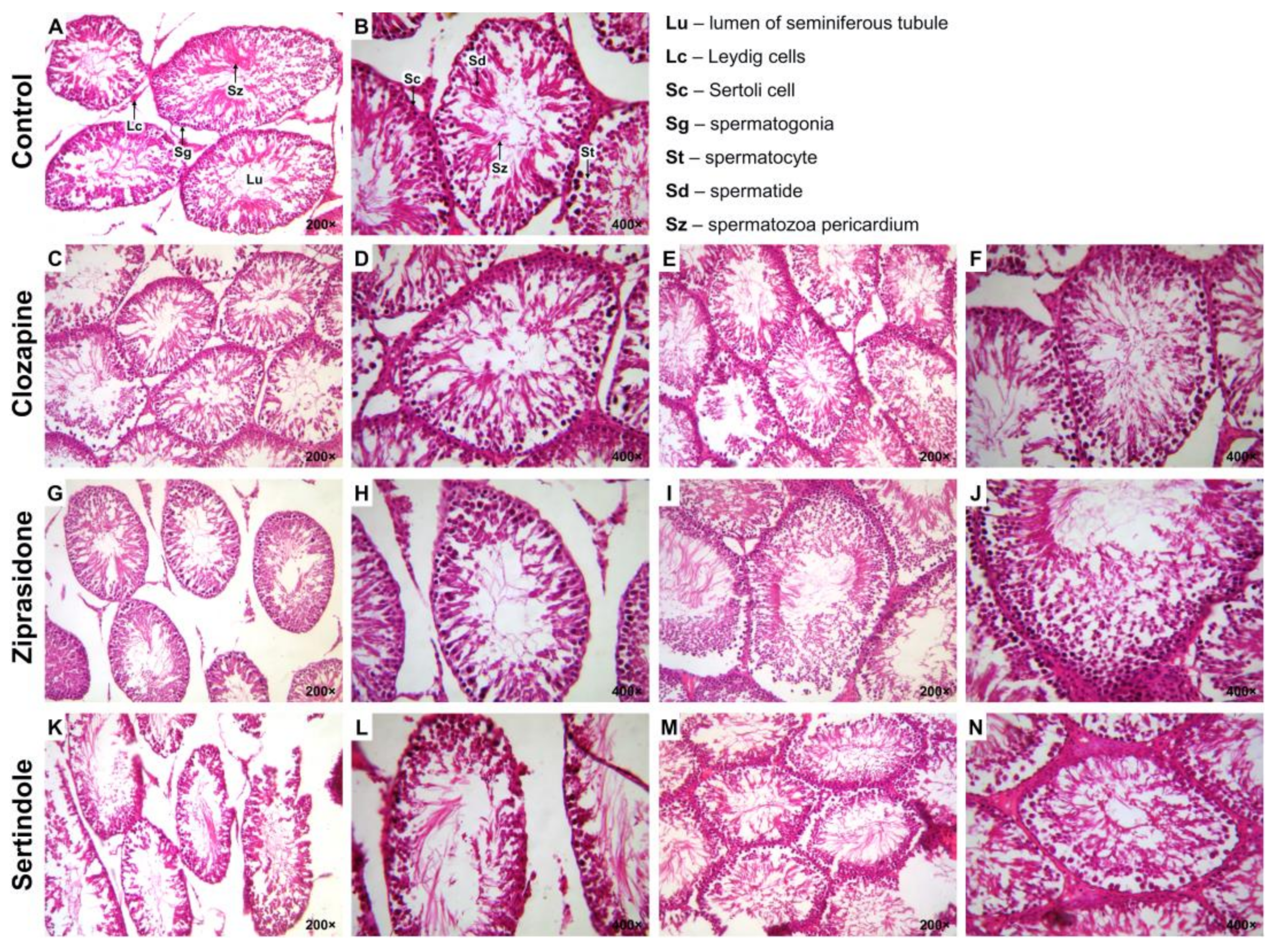 Ijms 23 13698 g002 Ijms 23 13698 g002