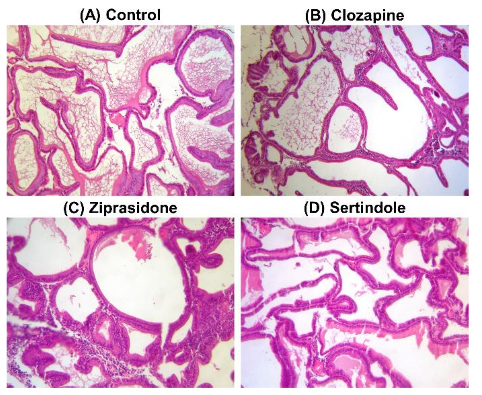 Ijms 23 13698 g003 Ijms 23 13698 g003