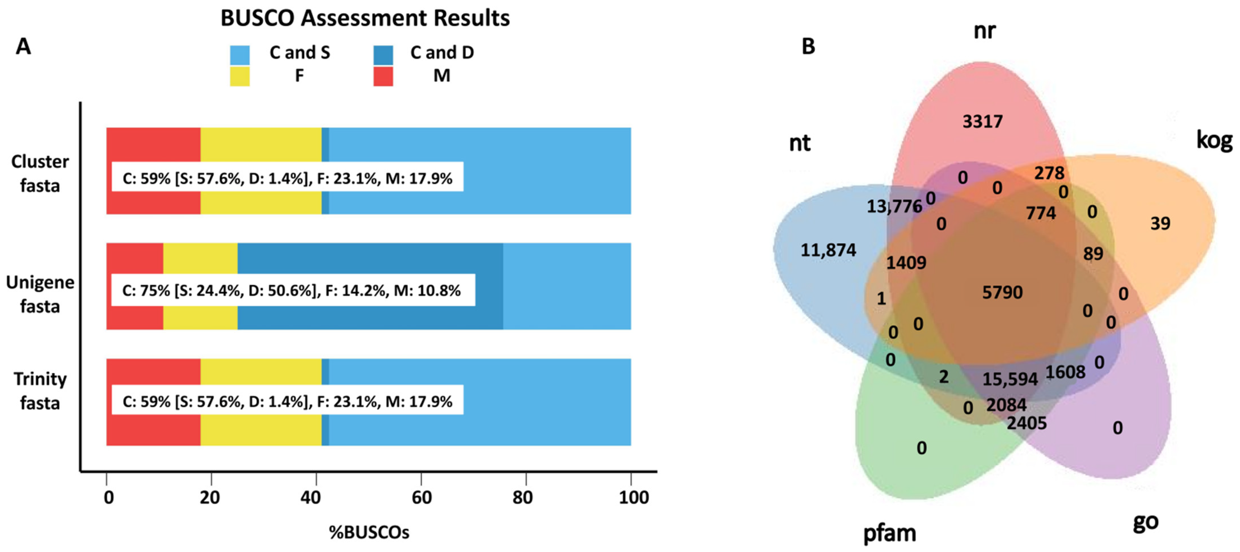 Ijms 23 13712 g001 Ijms 23 13712 g001