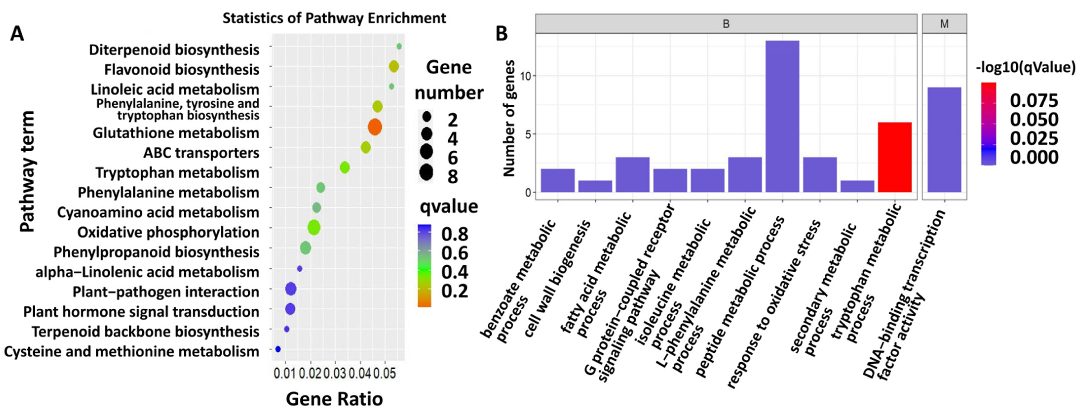 Ijms 23 13712 g002 Ijms 23 13712 g002