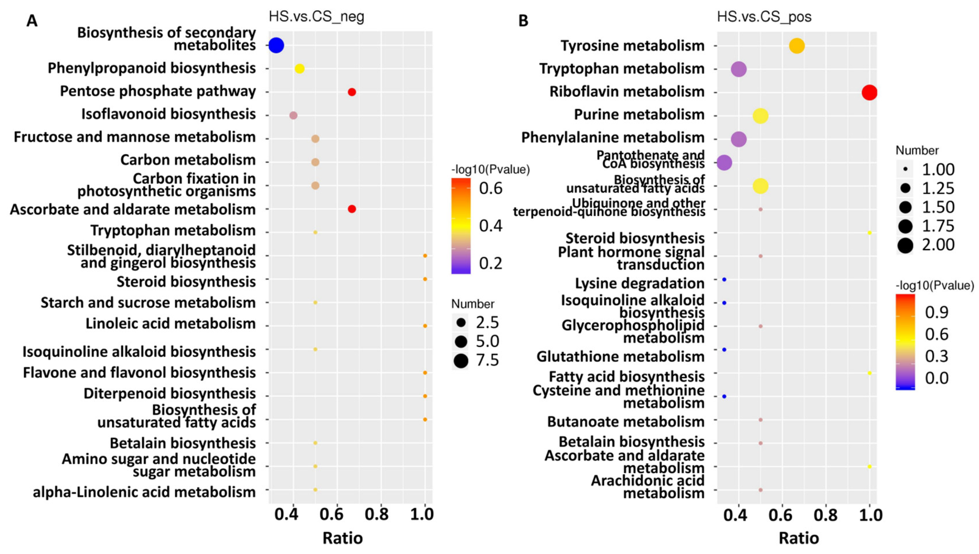 Ijms 23 13712 g005 Ijms 23 13712 g005