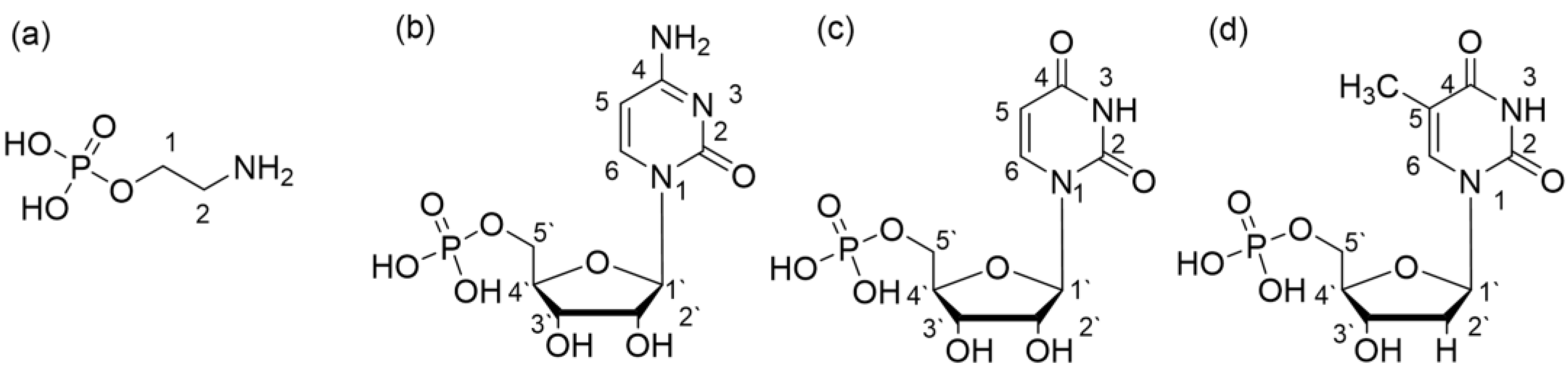 Ijms 23 13718 g001 Ijms 23 13718 g001