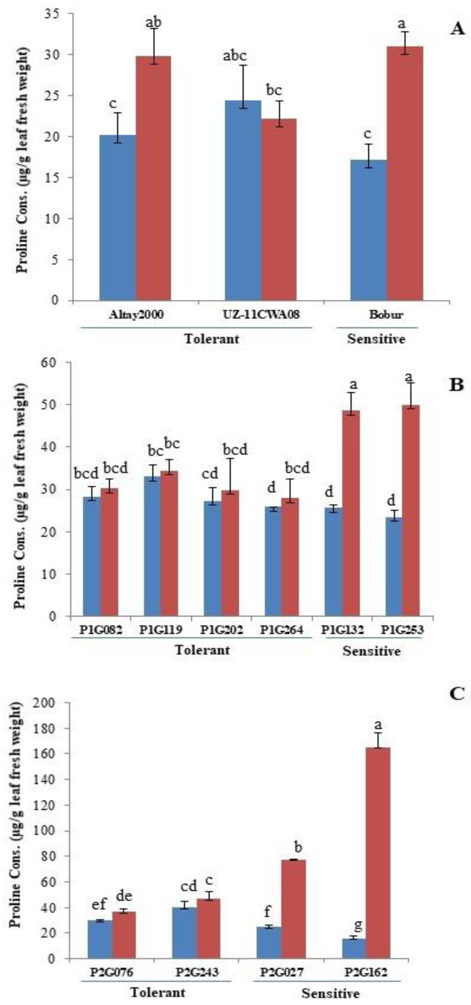 Ijms 23 13745 g002 Ijms 23 13745 g002