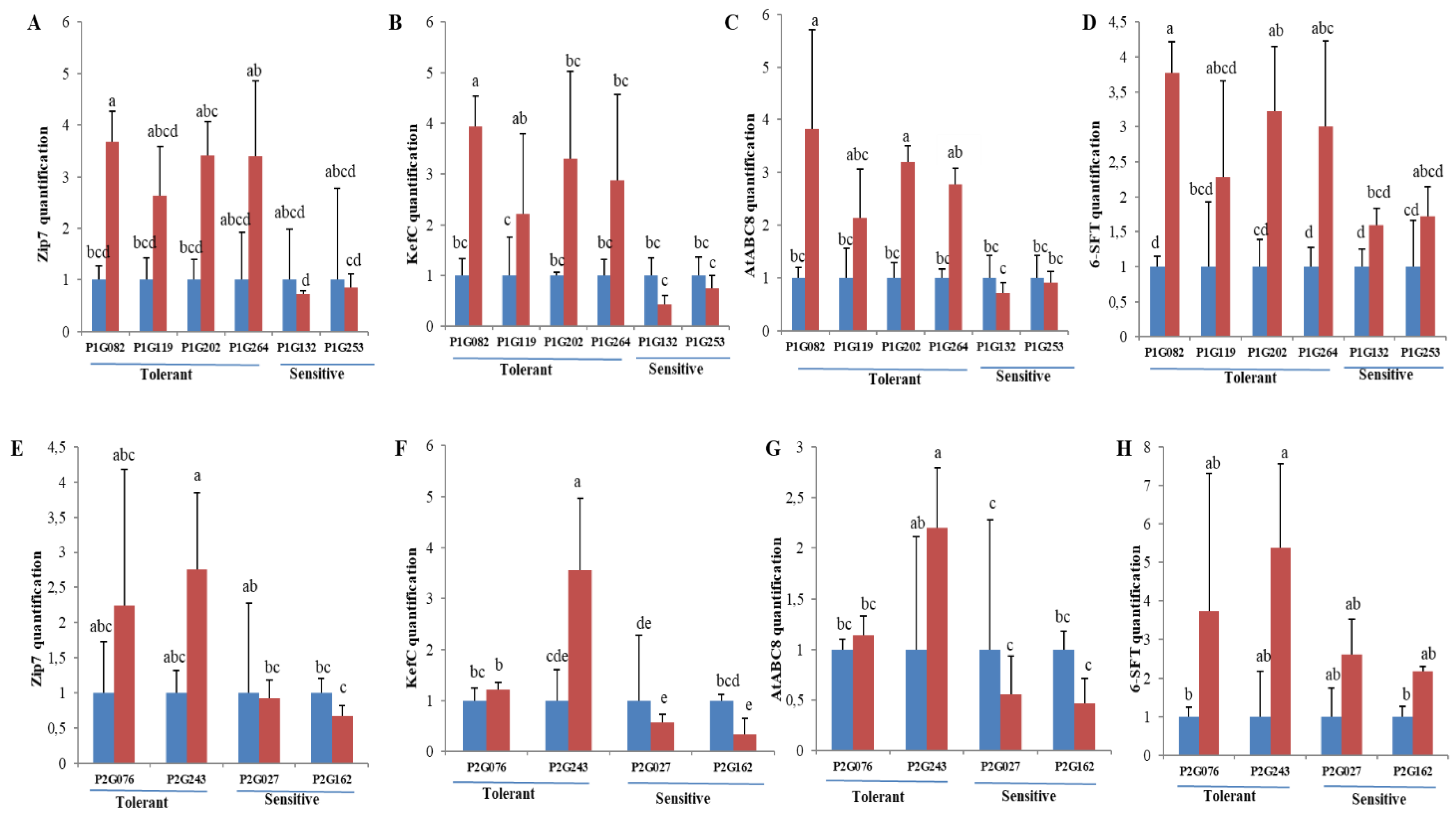 Ijms 23 13745 g005 Ijms 23 13745 g005