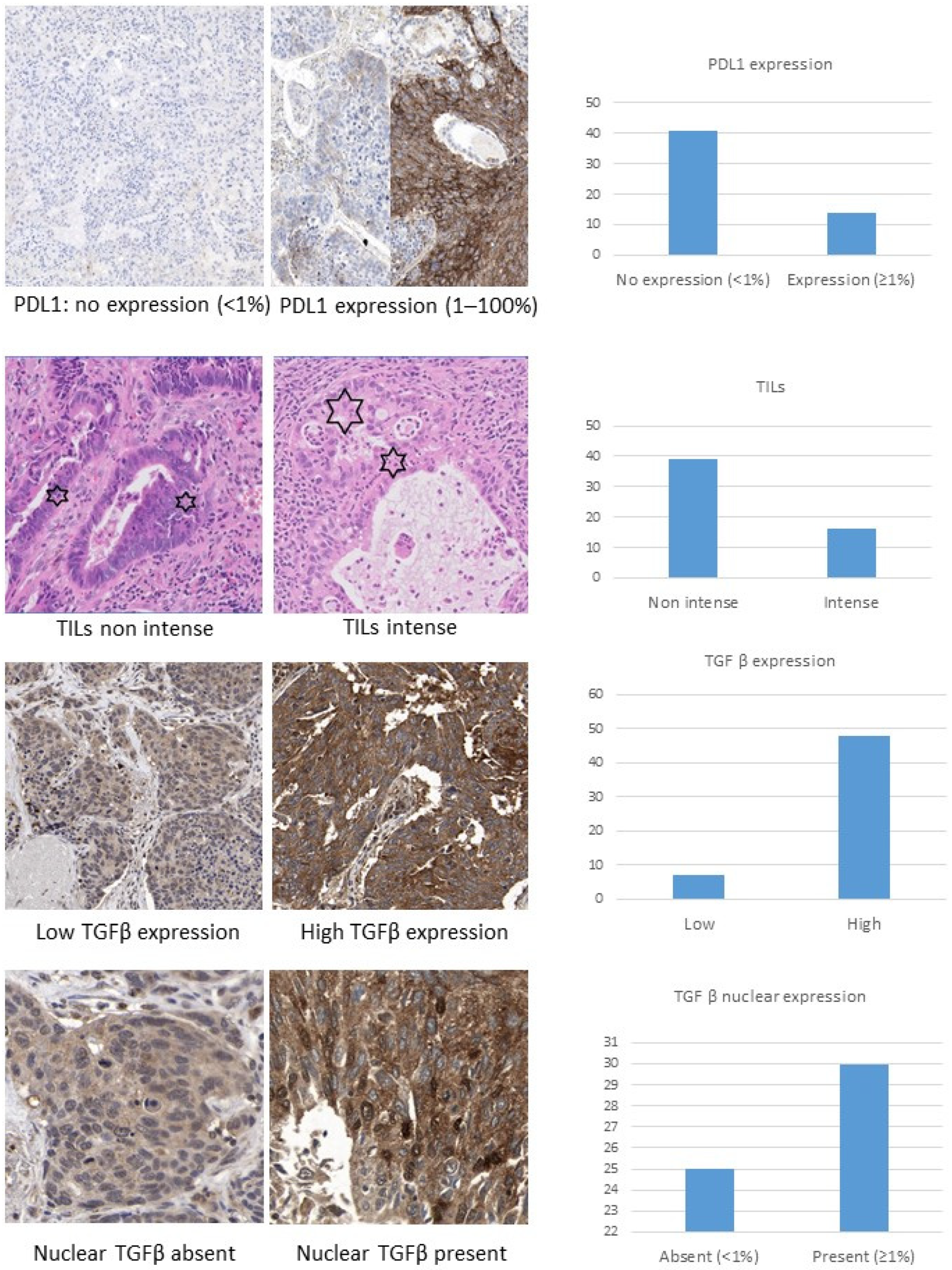 Ijms 23 13780 g001 Ijms 23 13780 g001