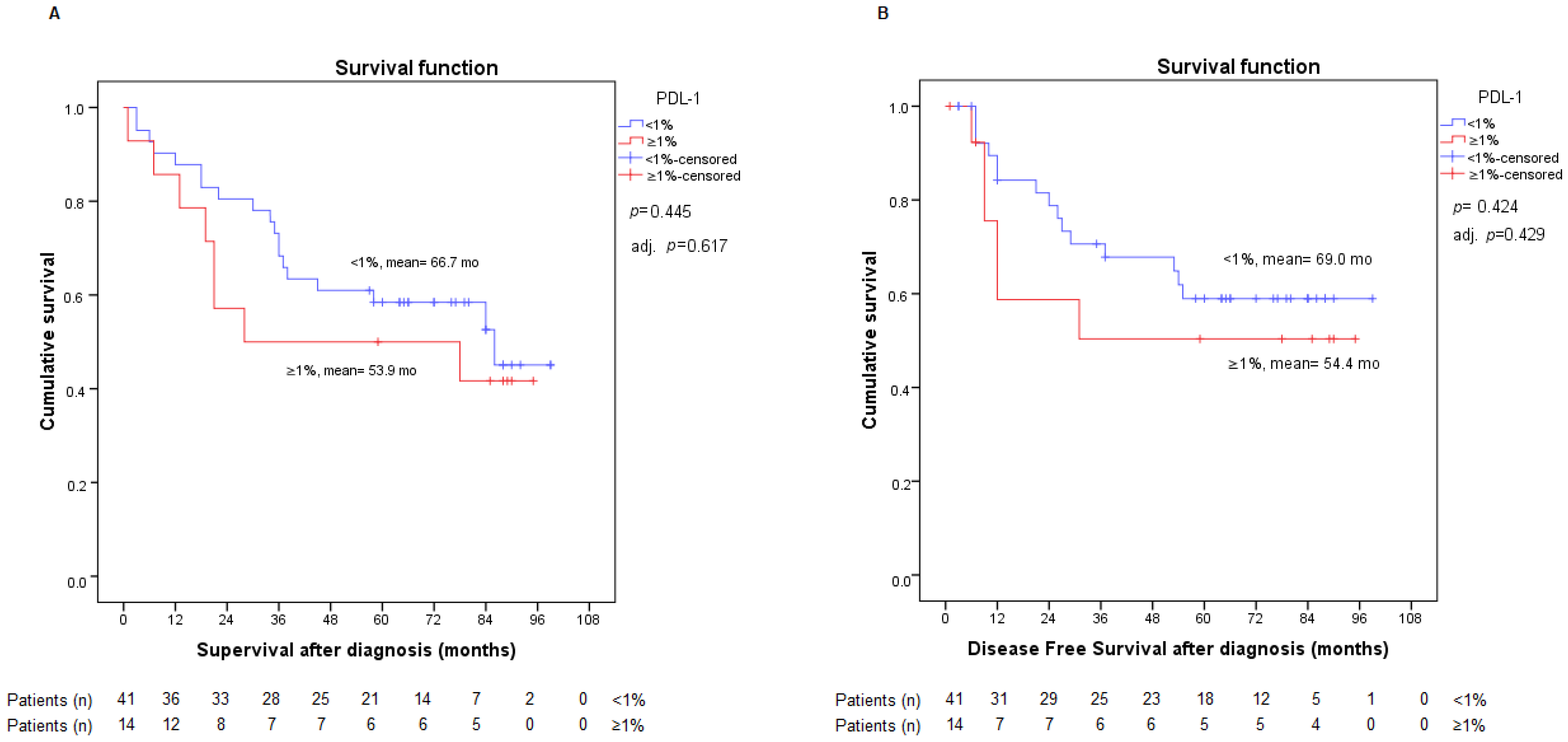Ijms 23 13780 g002 Ijms 23 13780 g002