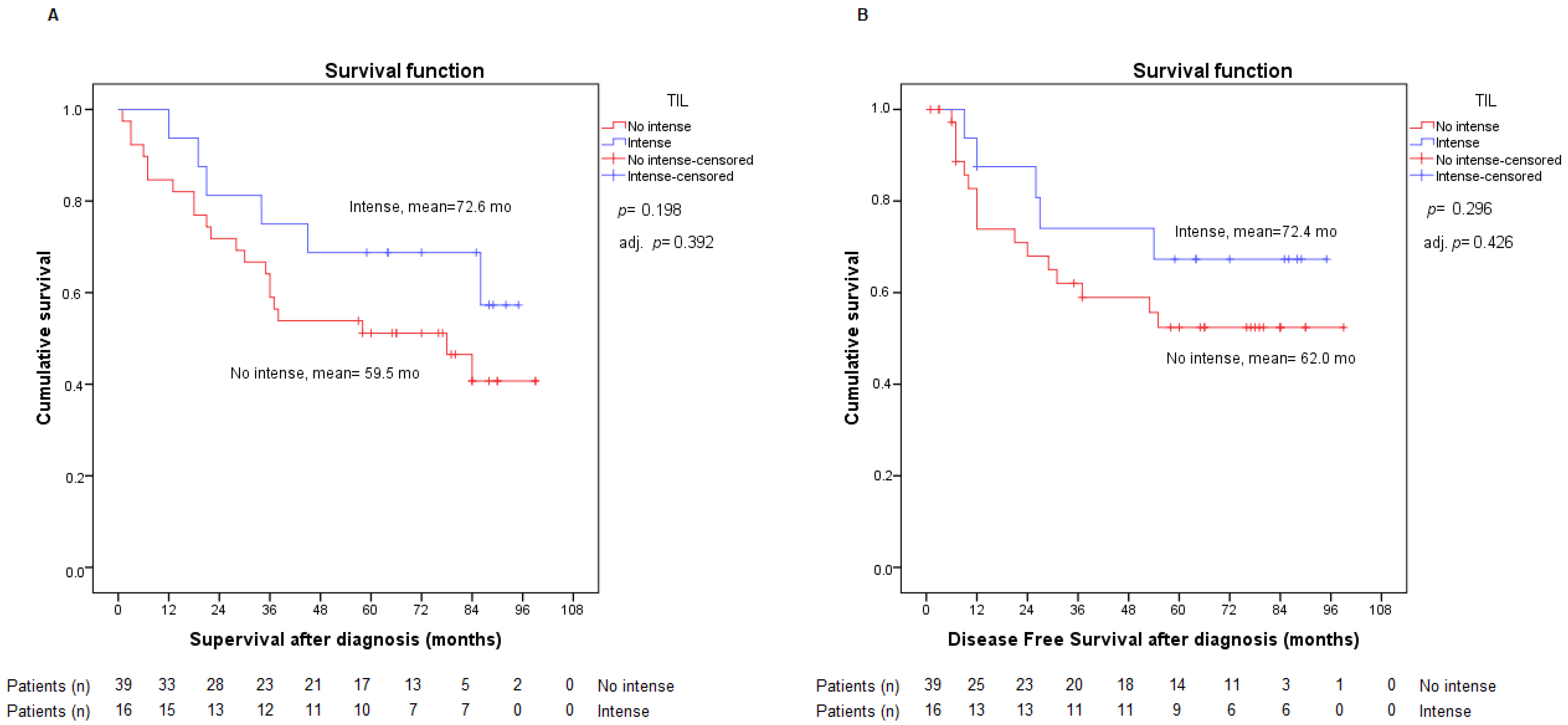 Ijms 23 13780 g003 Ijms 23 13780 g003