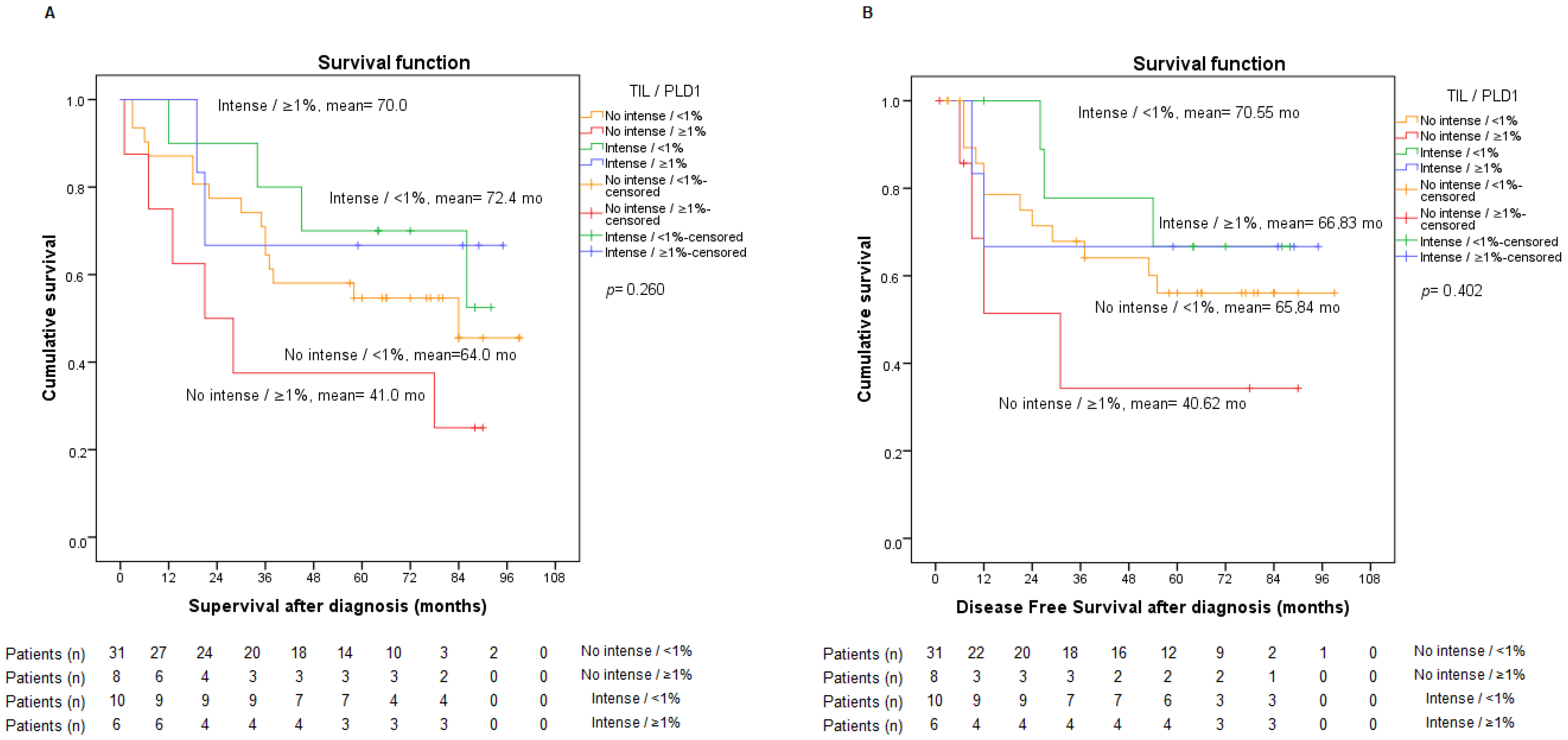 Ijms 23 13780 g004 Ijms 23 13780 g004