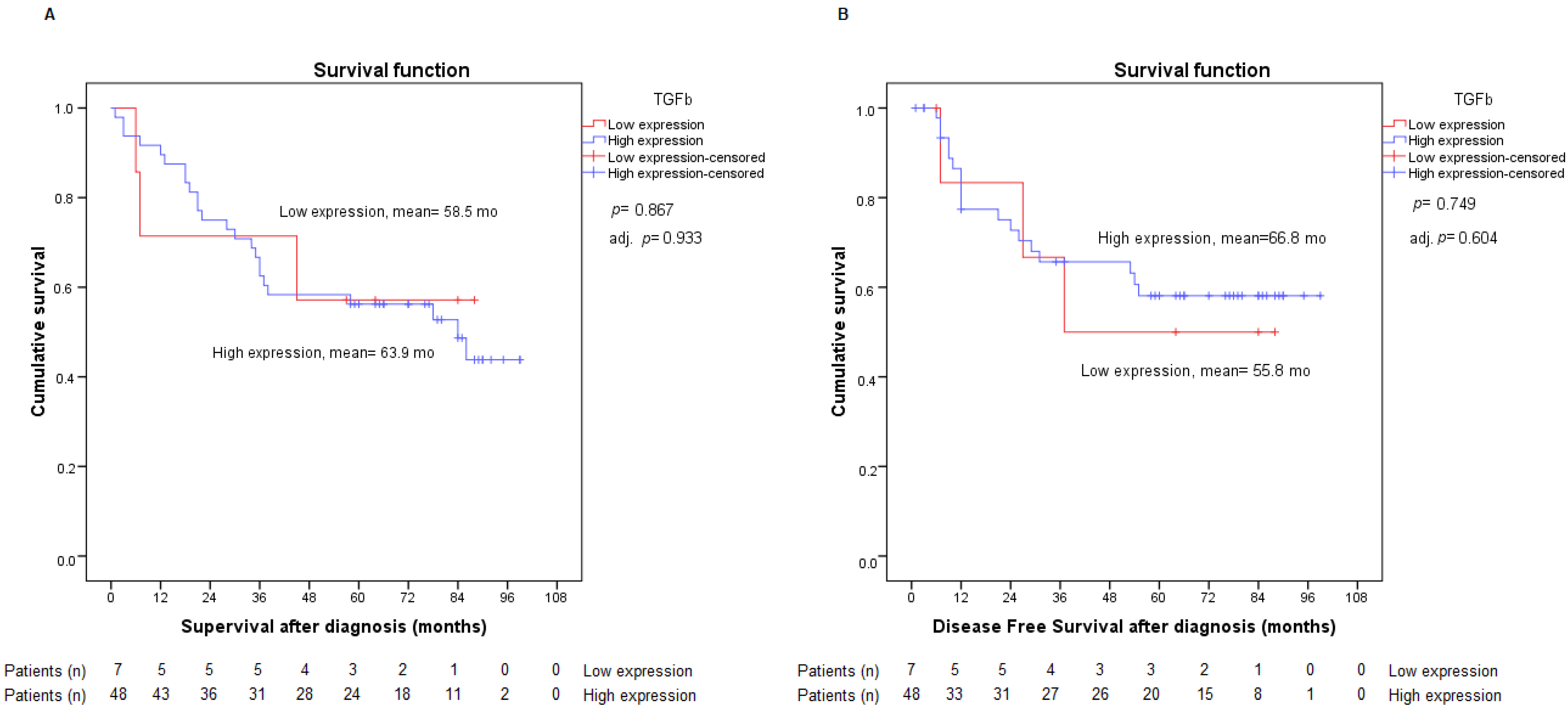 Ijms 23 13780 g005 Ijms 23 13780 g005