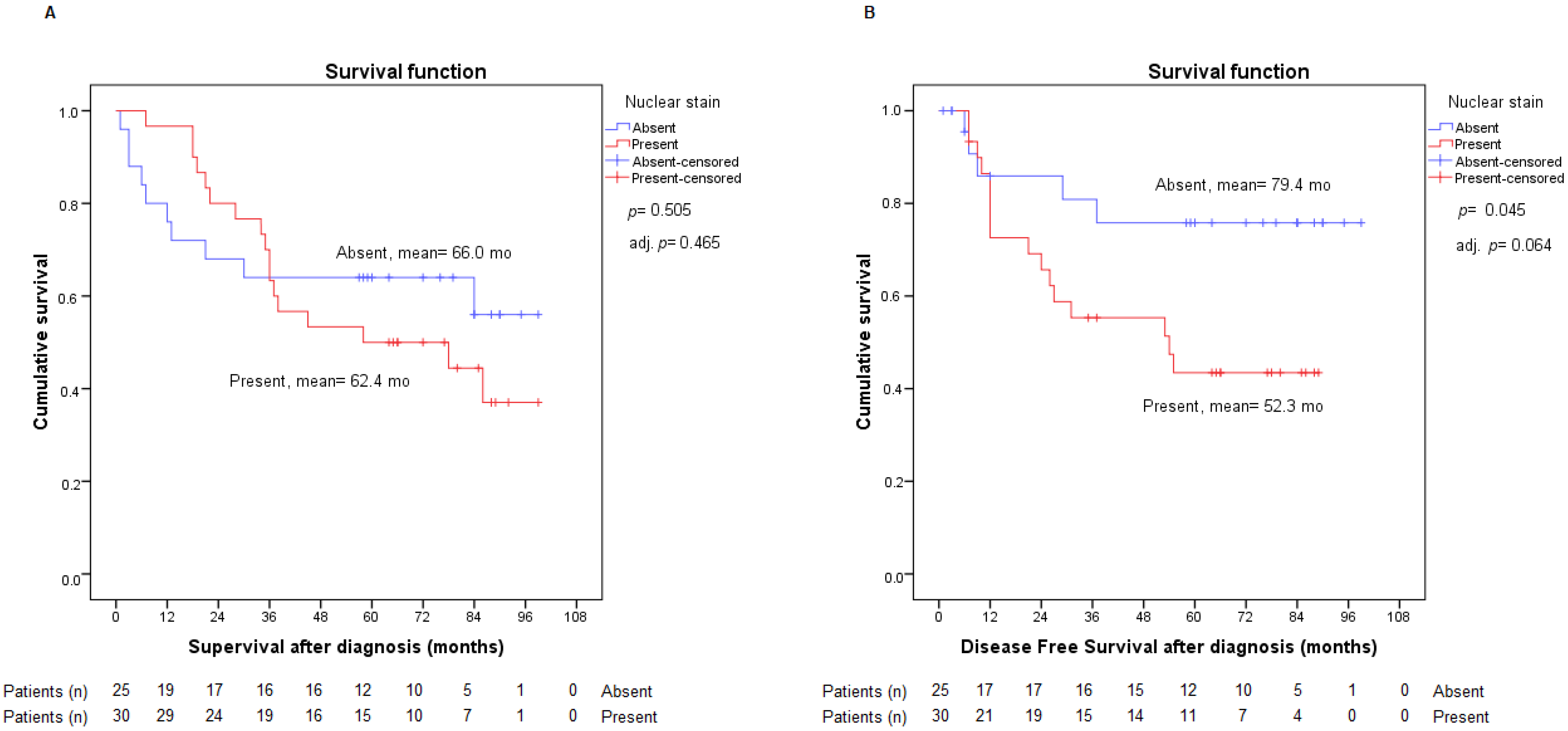Ijms 23 13780 g006 Ijms 23 13780 g006