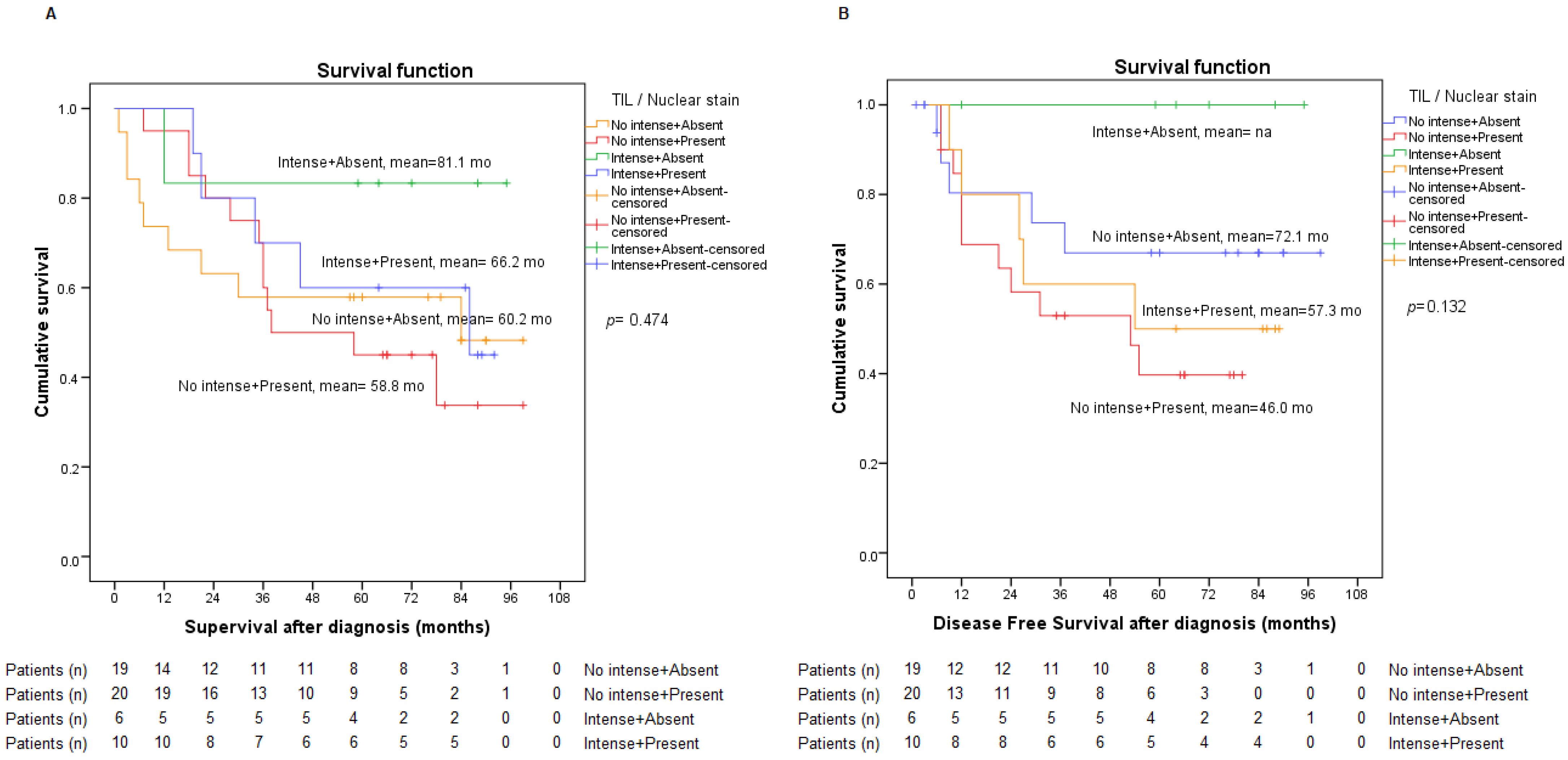 Ijms 23 13780 g007 Ijms 23 13780 g007
