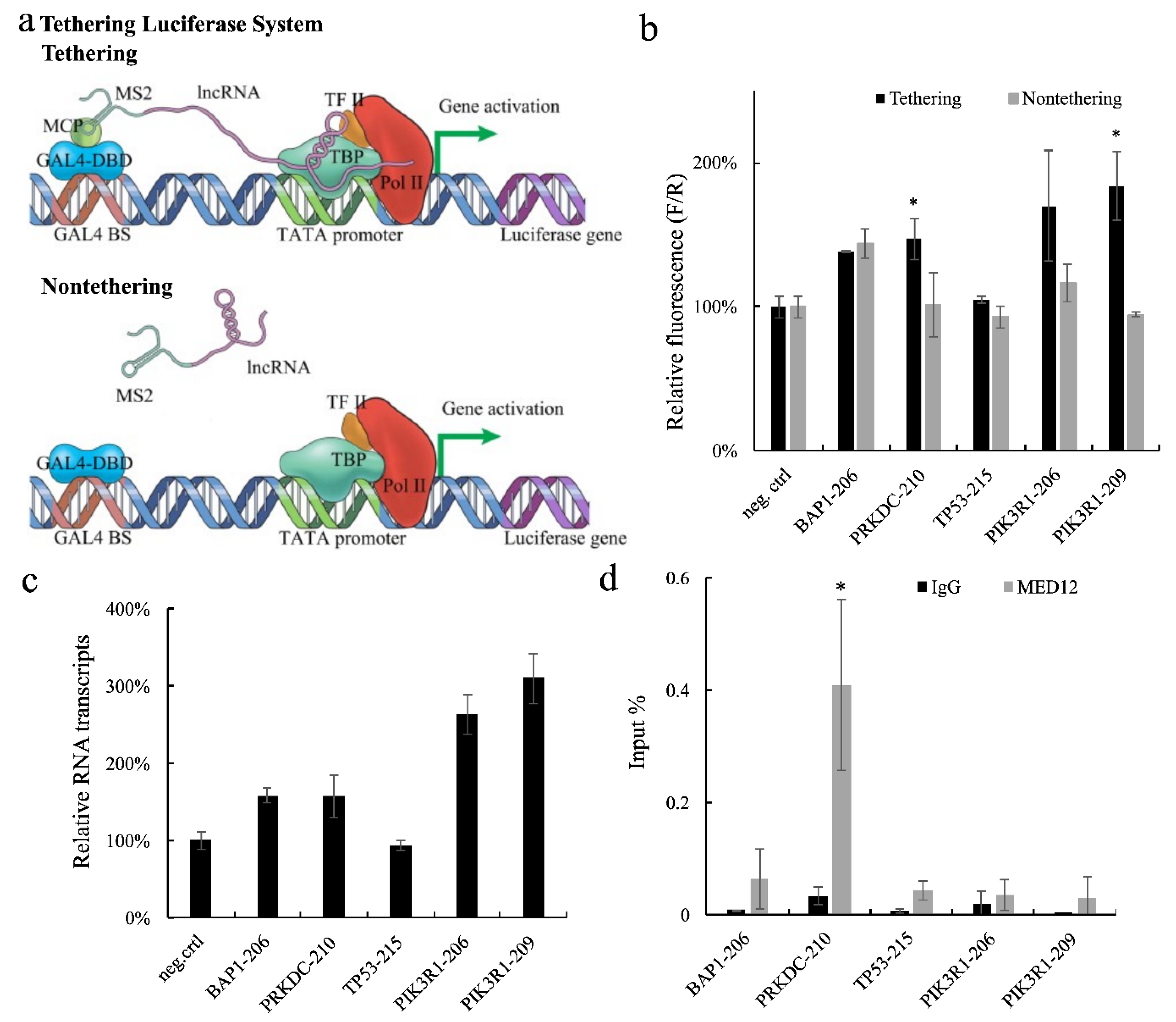 Ijms 23 13783 g001 Ijms 23 13783 g001
