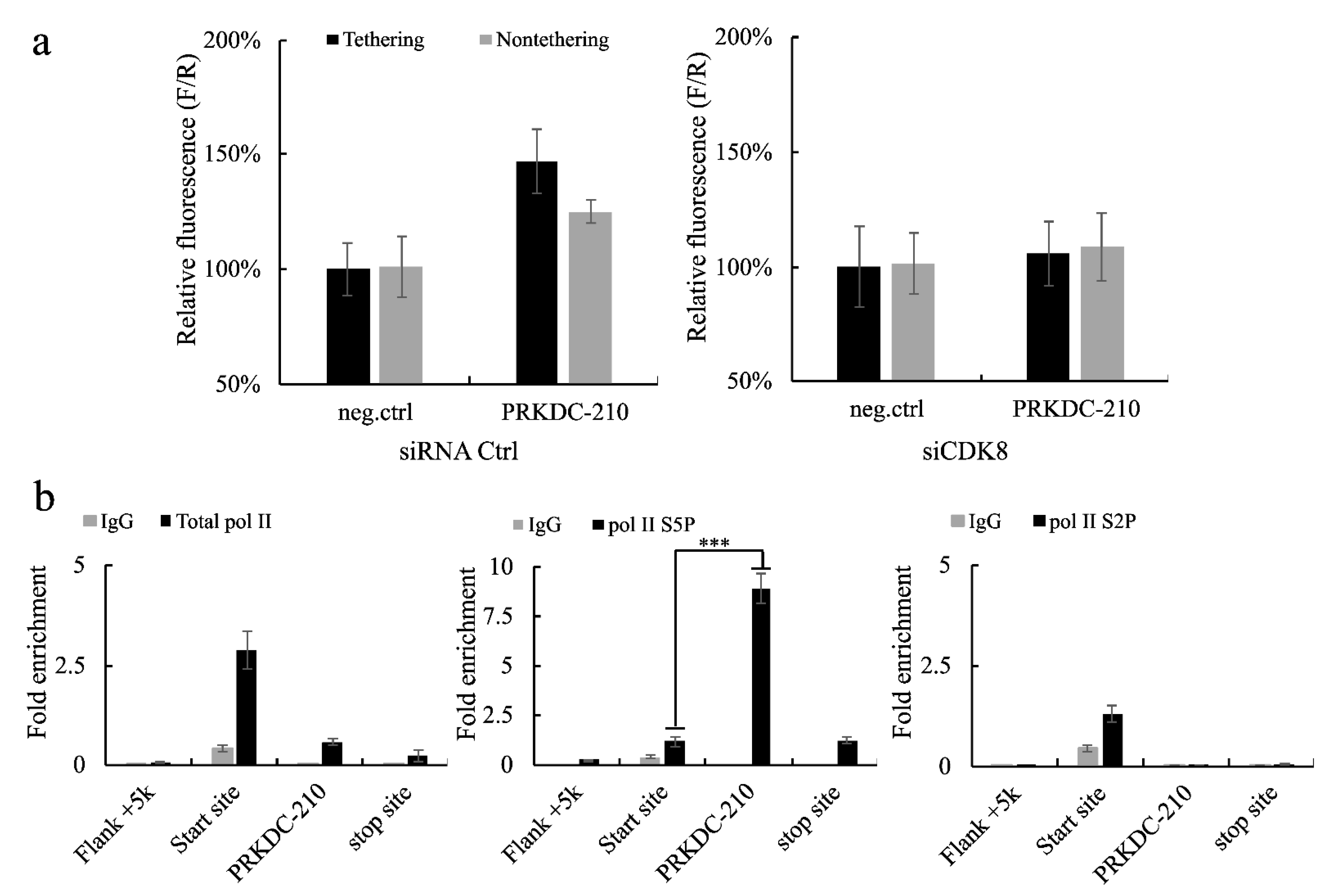 Ijms 23 13783 g002 Ijms 23 13783 g002