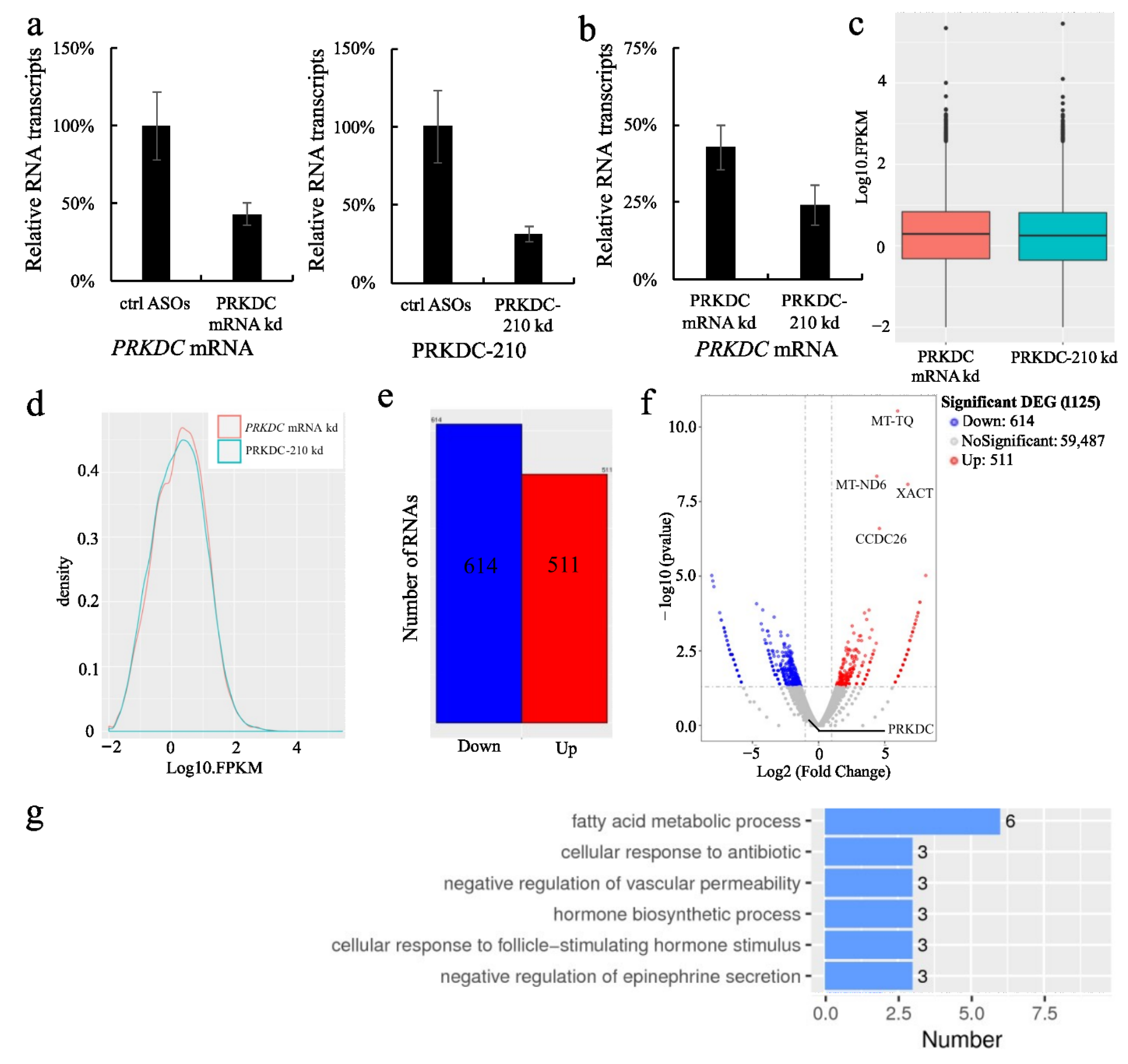 Ijms 23 13783 g003 Ijms 23 13783 g003