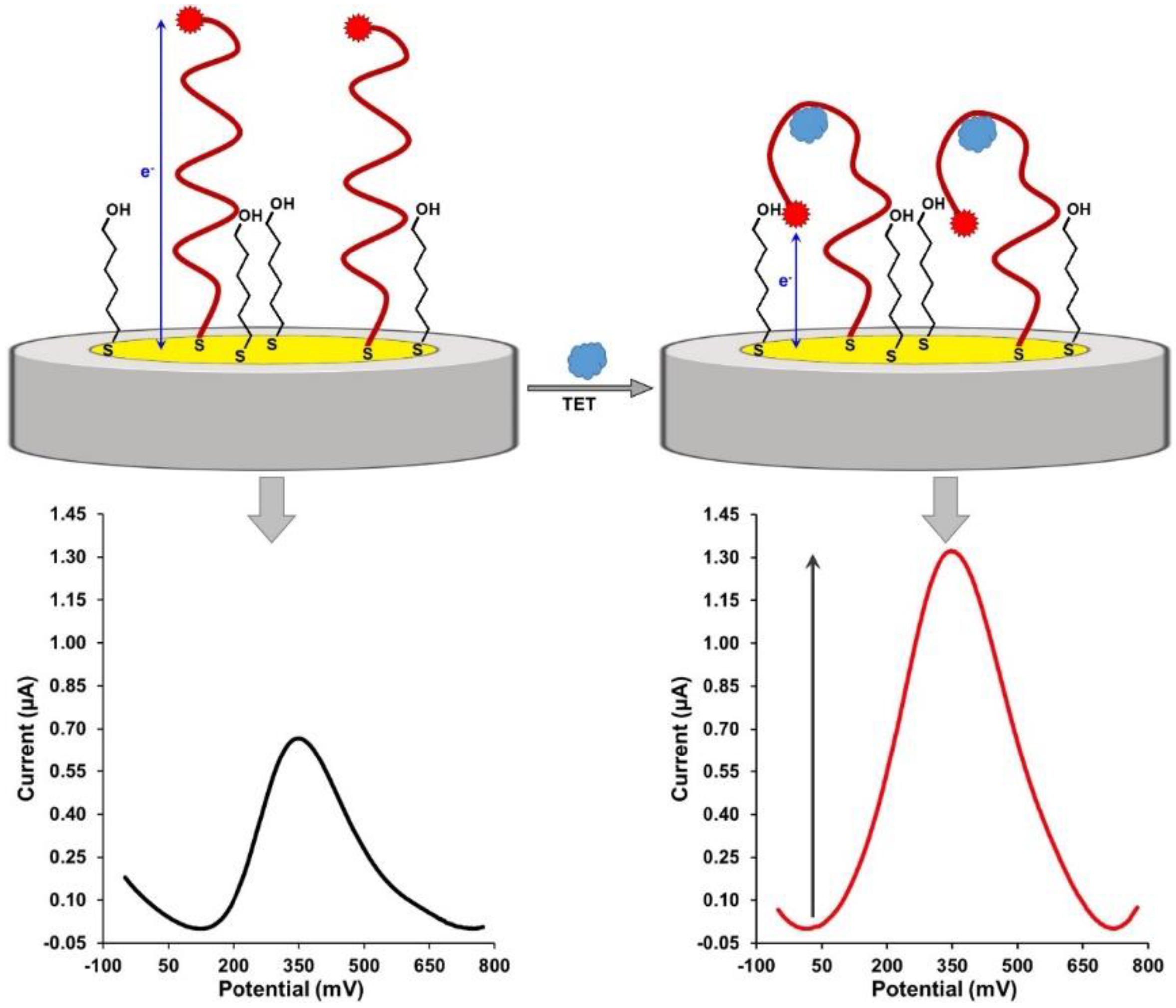 Ijms 23 13785 sch002