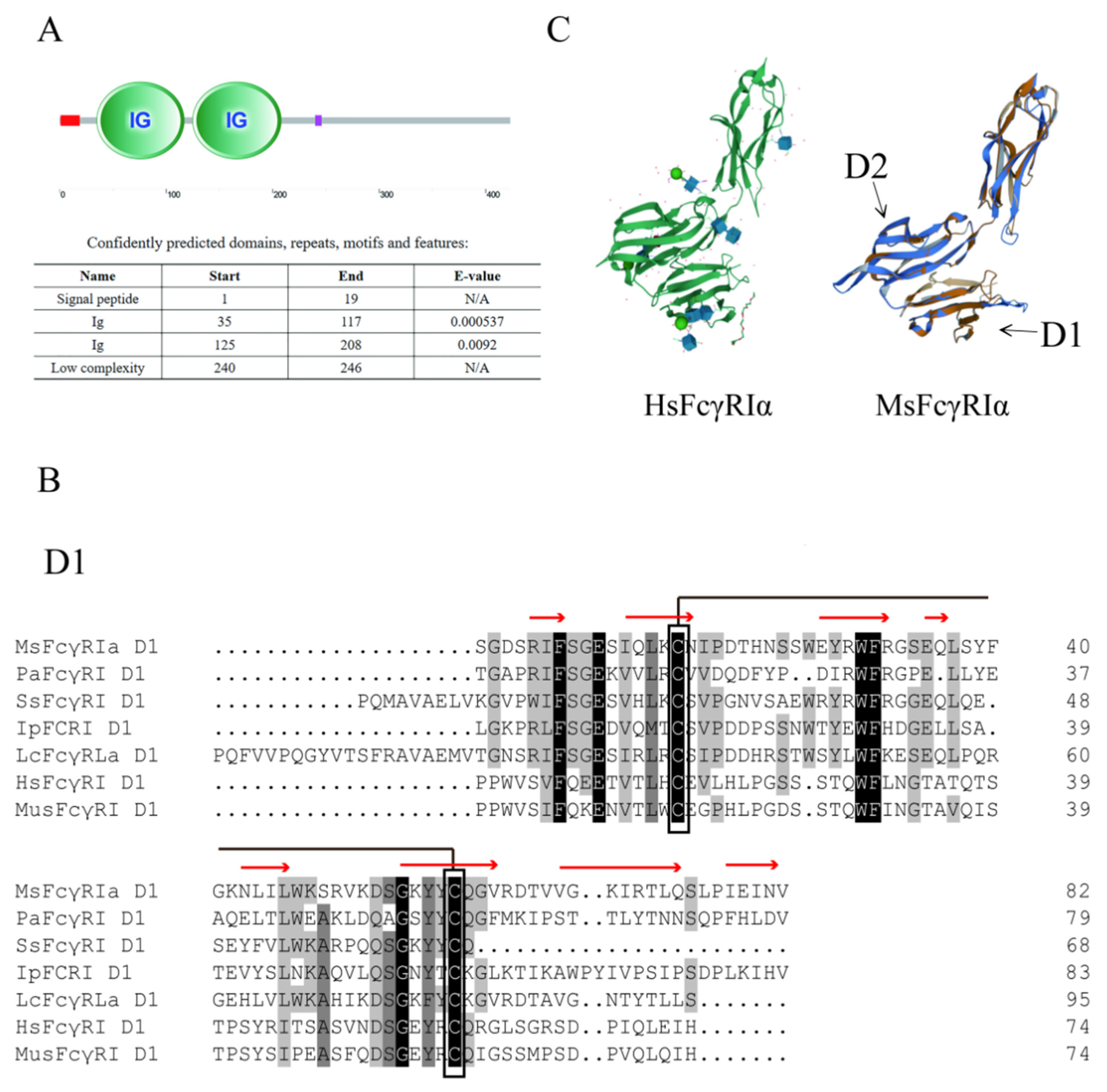 Ijms 23 13788 g002a Ijms 23 13788 g002a