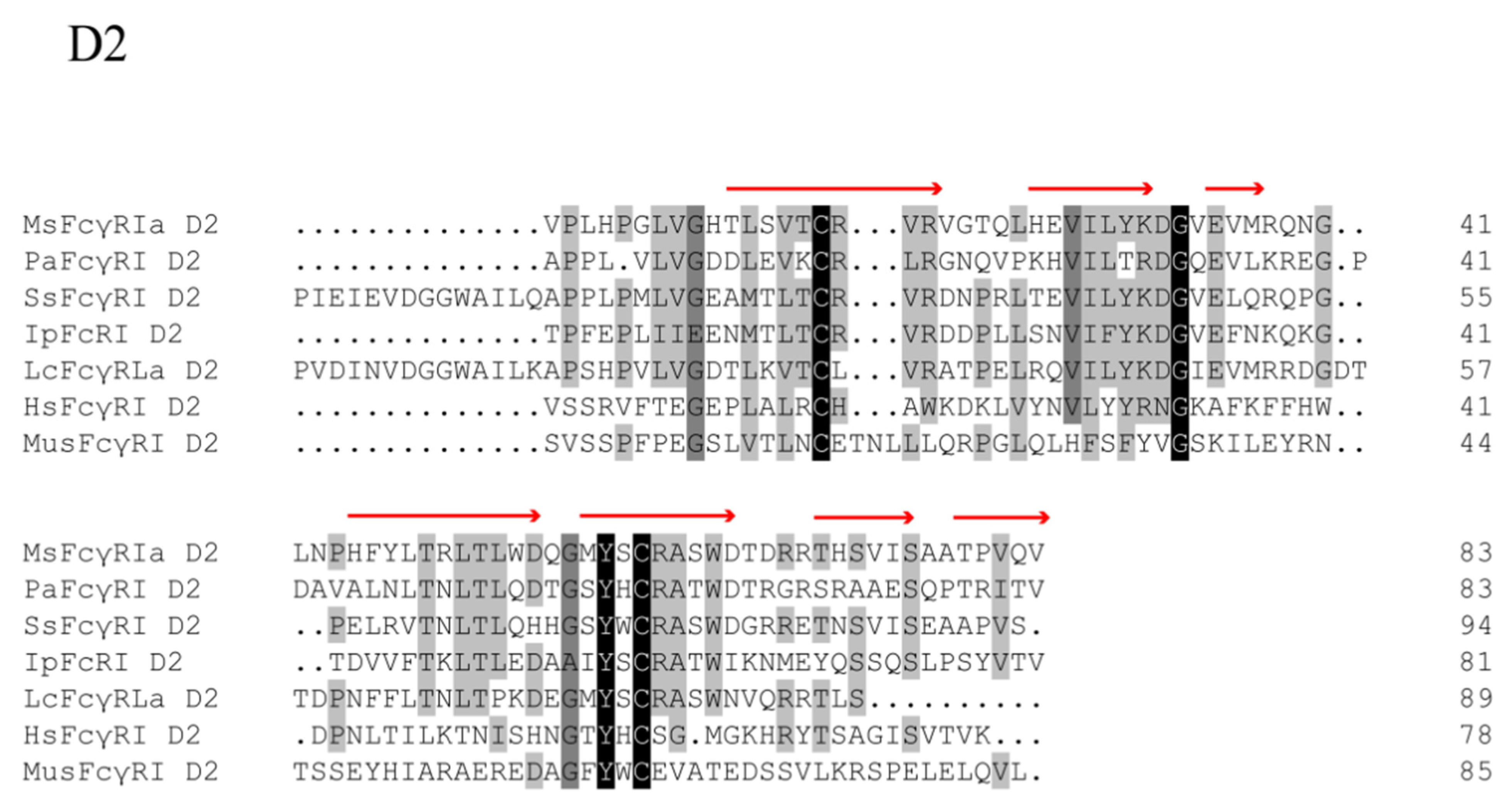 Ijms 23 13788 g002b Ijms 23 13788 g002b