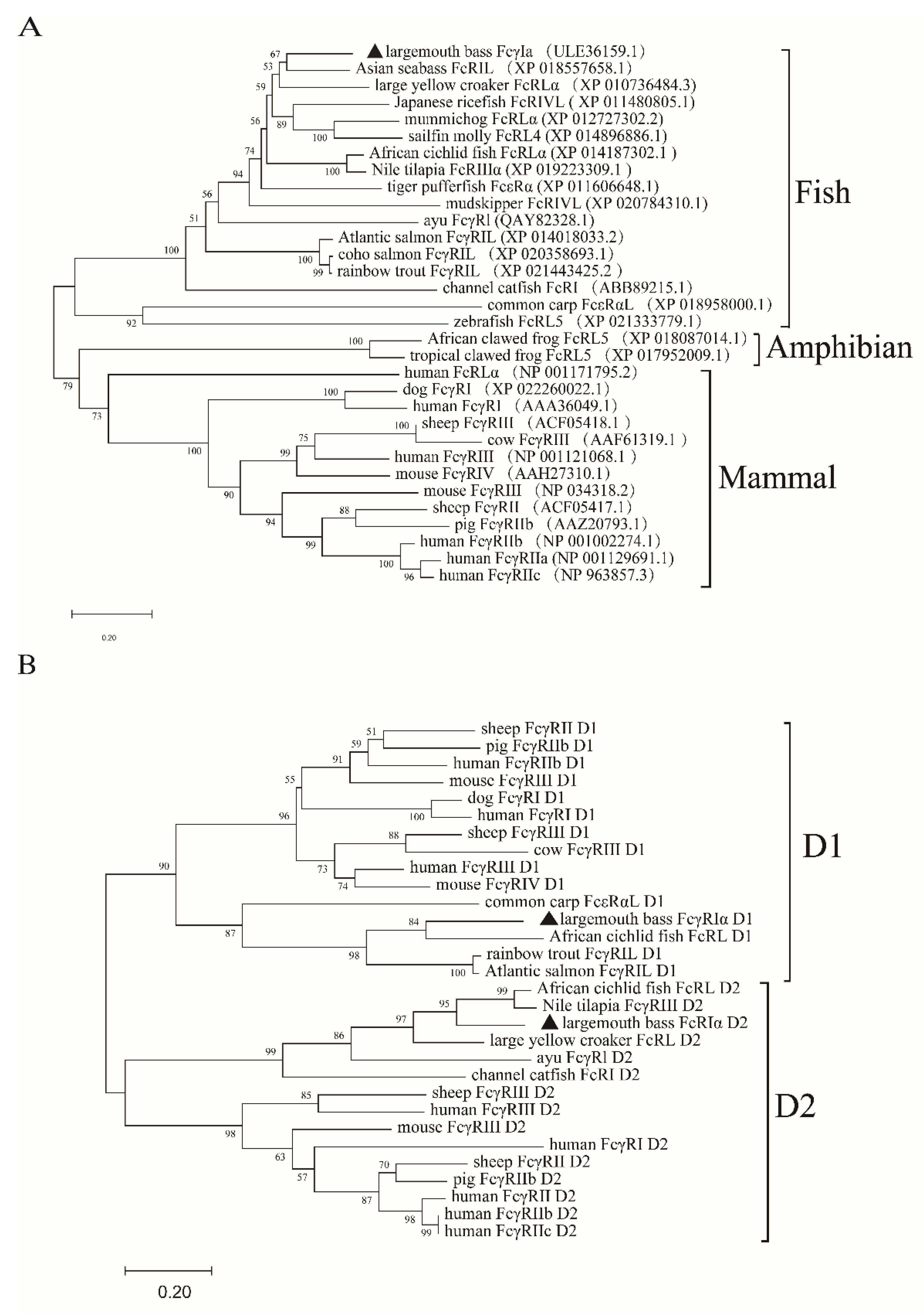 Ijms 23 13788 g003 Ijms 23 13788 g003