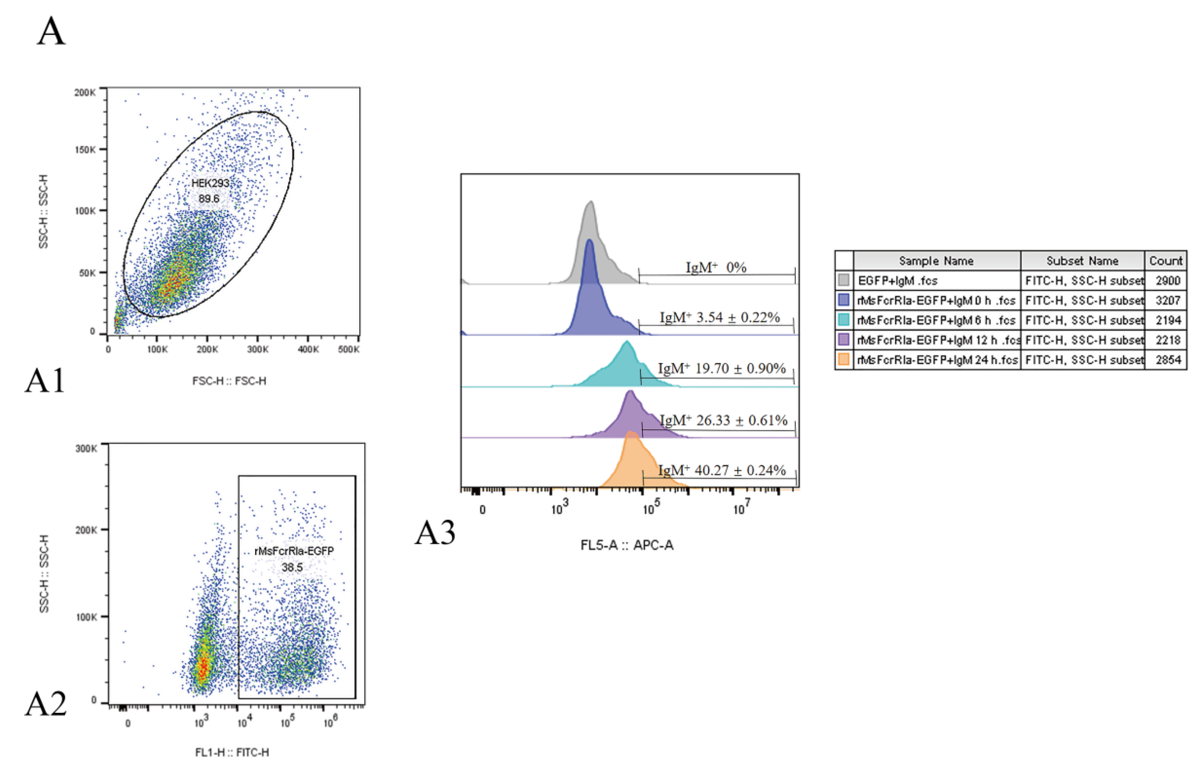 Ijms 23 13788 g006a Ijms 23 13788 g006a