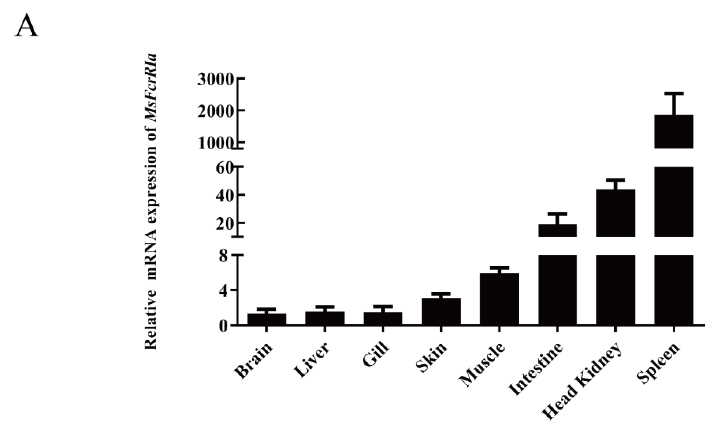 Ijms 23 13788 g007a Ijms 23 13788 g007a