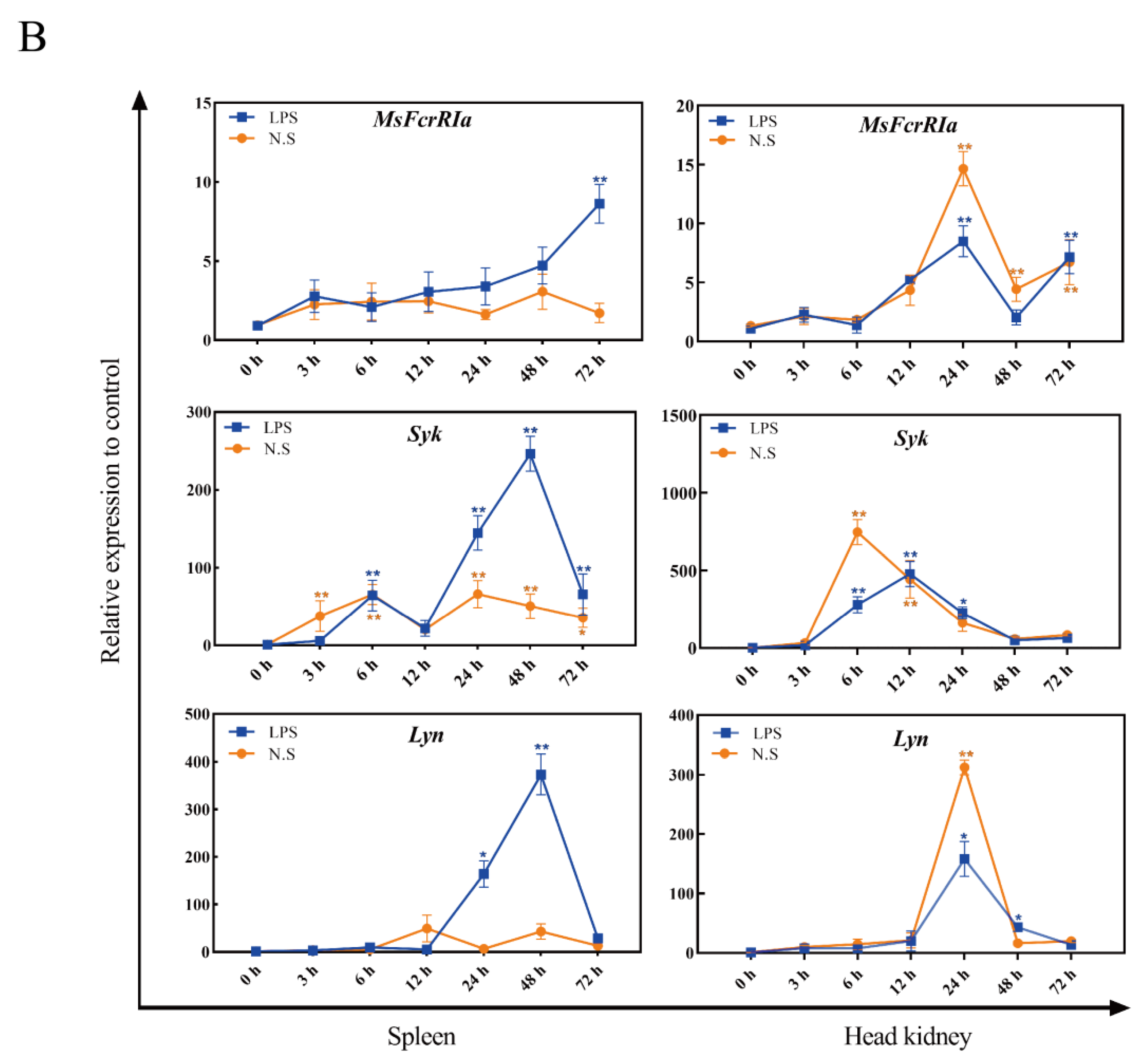 Ijms 23 13788 g007b Ijms 23 13788 g007b