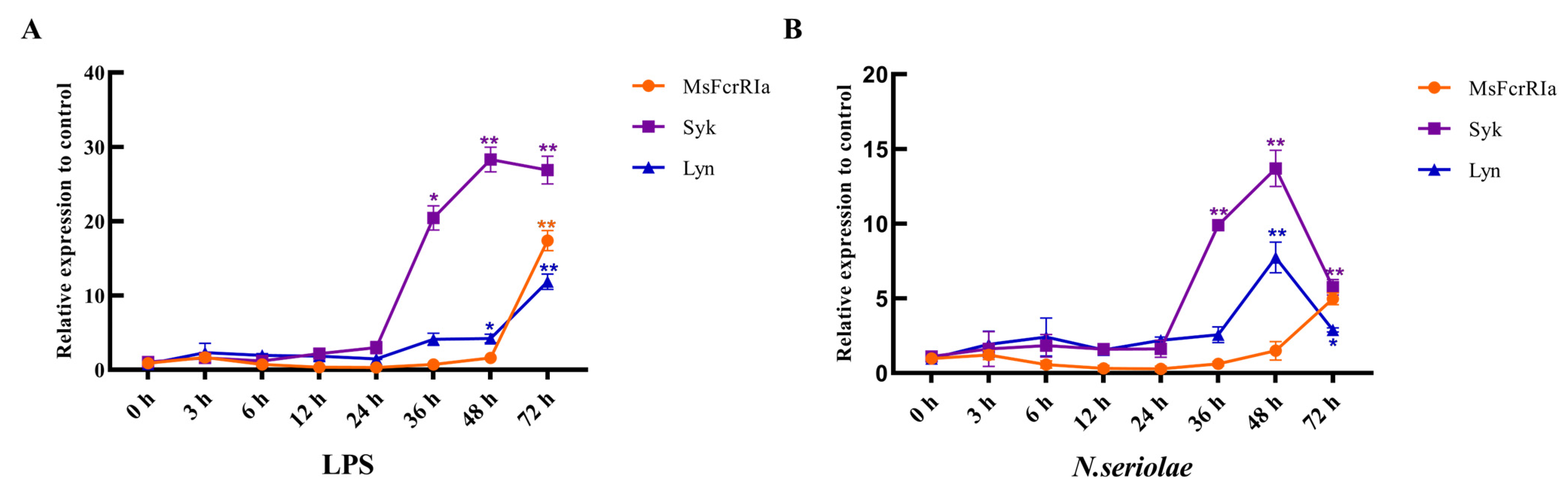 Ijms 23 13788 g008 Ijms 23 13788 g008