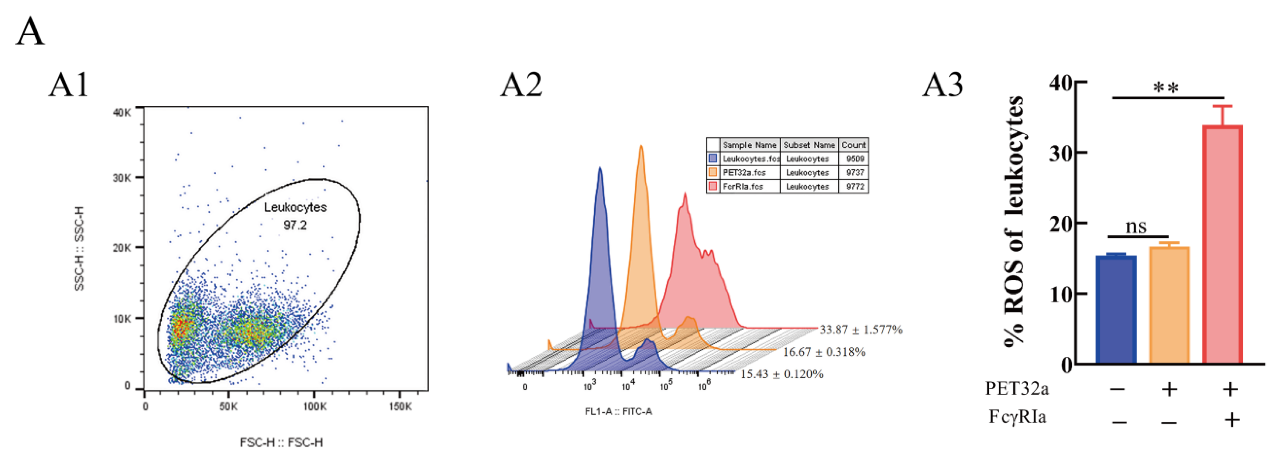 Ijms 23 13788 g009a Ijms 23 13788 g009a