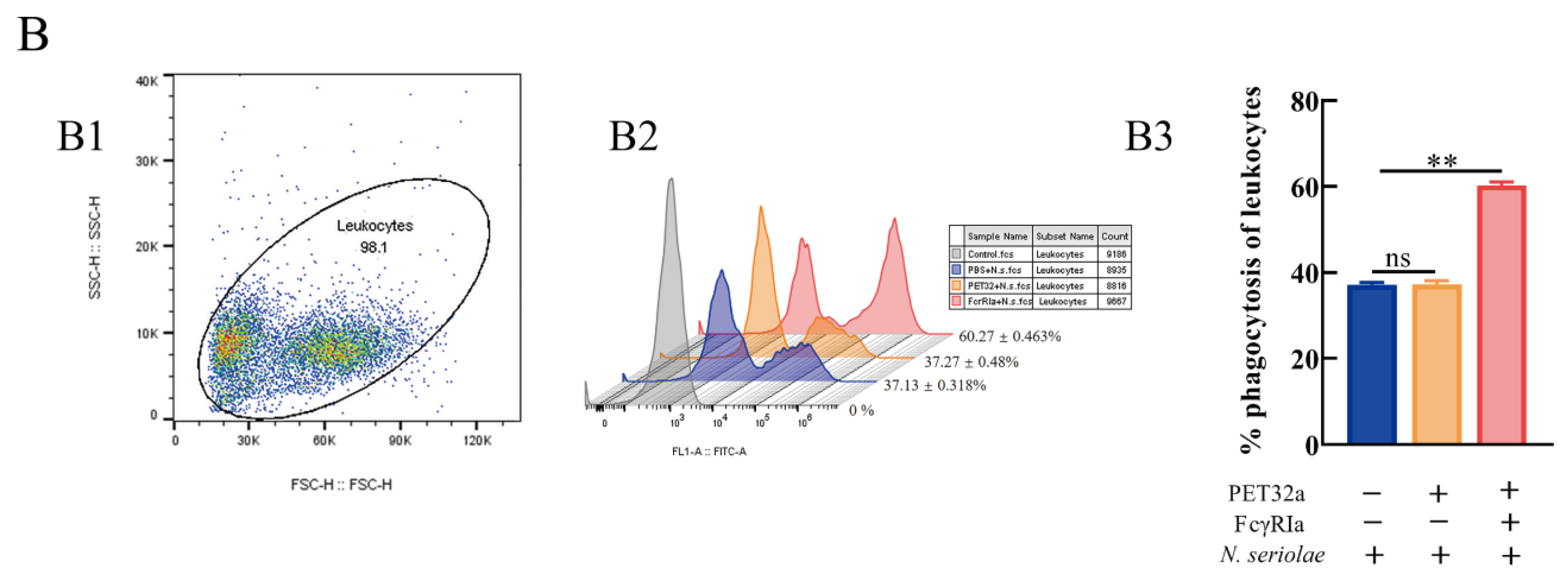 Ijms 23 13788 g009b Ijms 23 13788 g009b