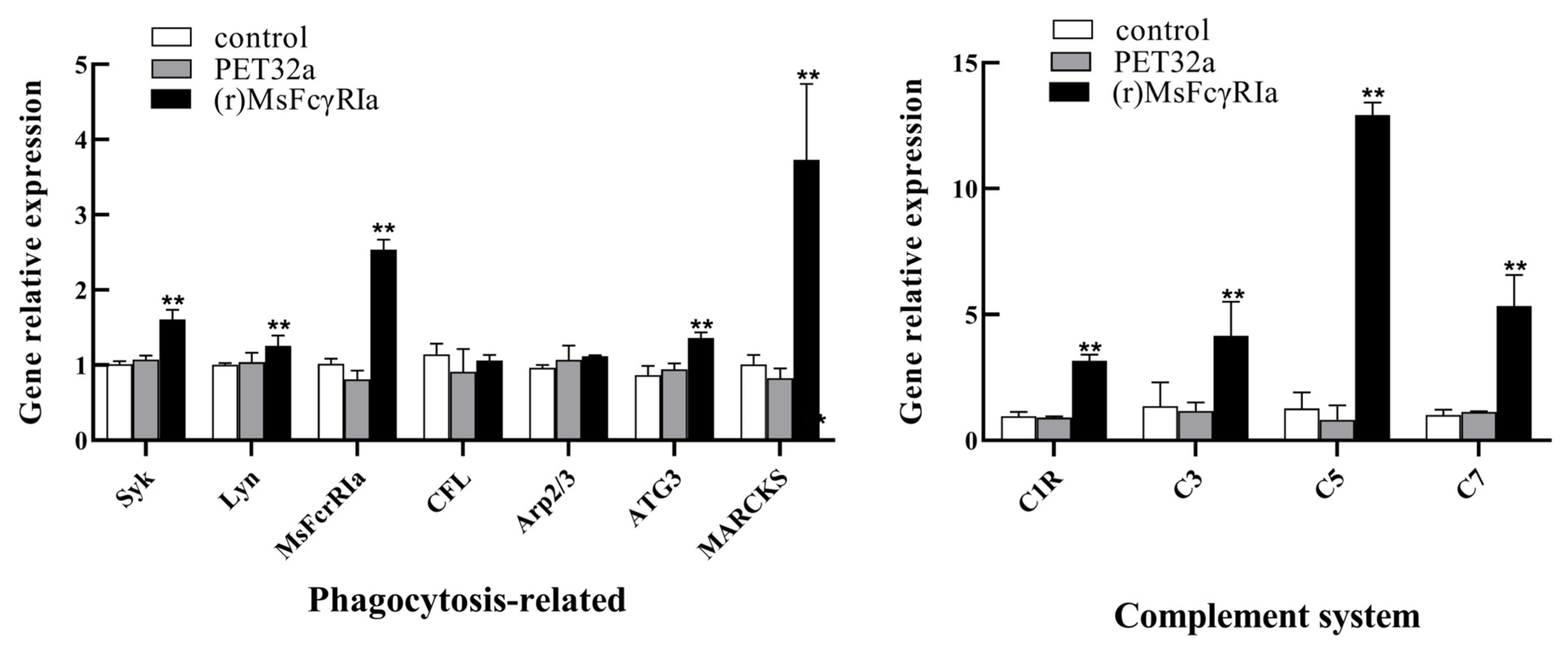Ijms 23 13788 g010 Ijms 23 13788 g010