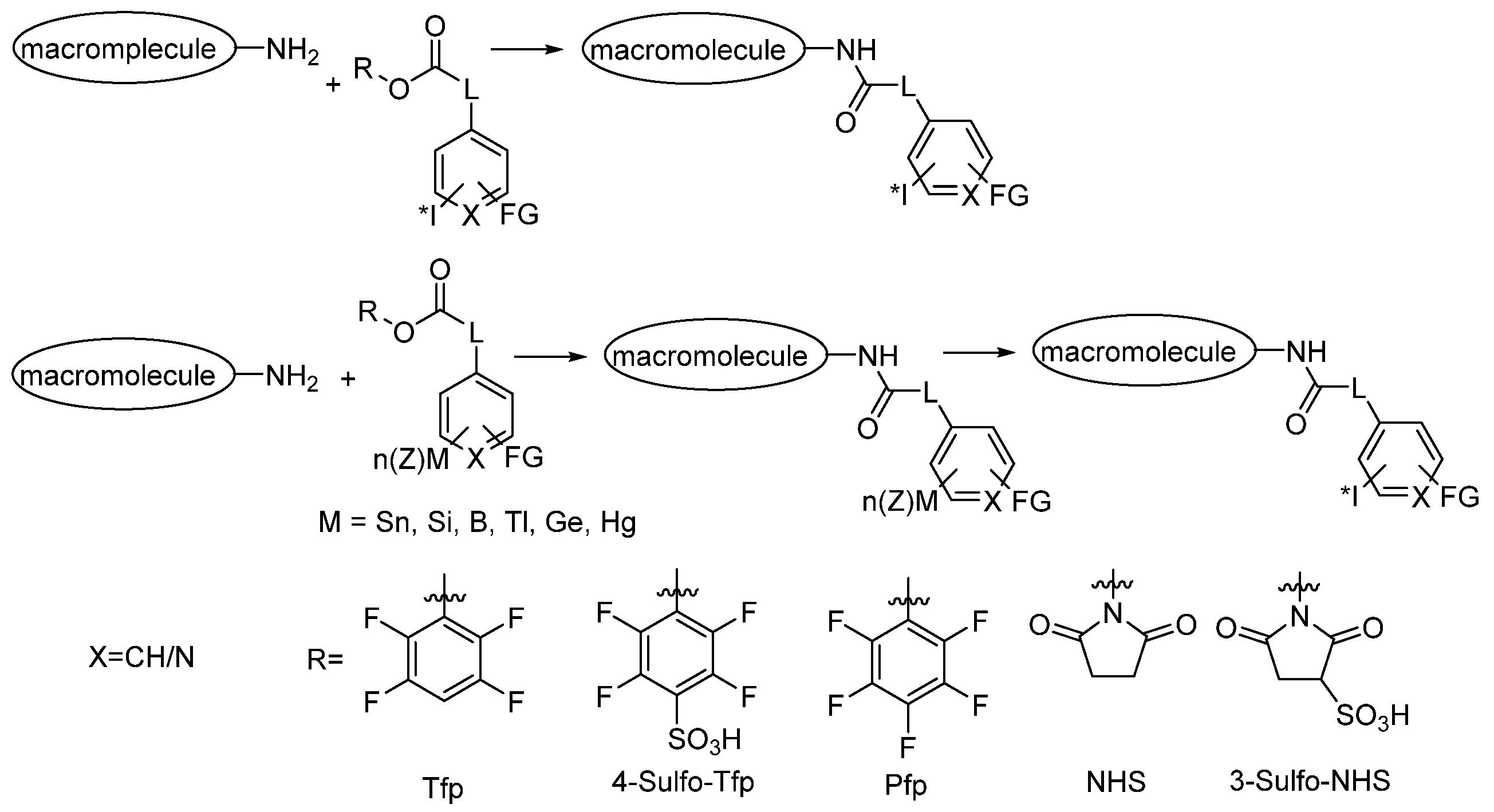 Ijms 23 13789 sch022