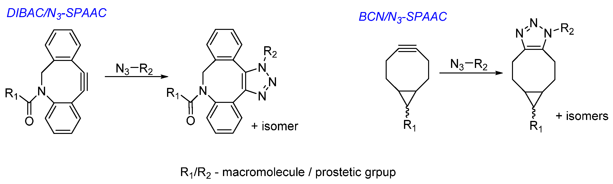 Ijms 23 13789 sch025