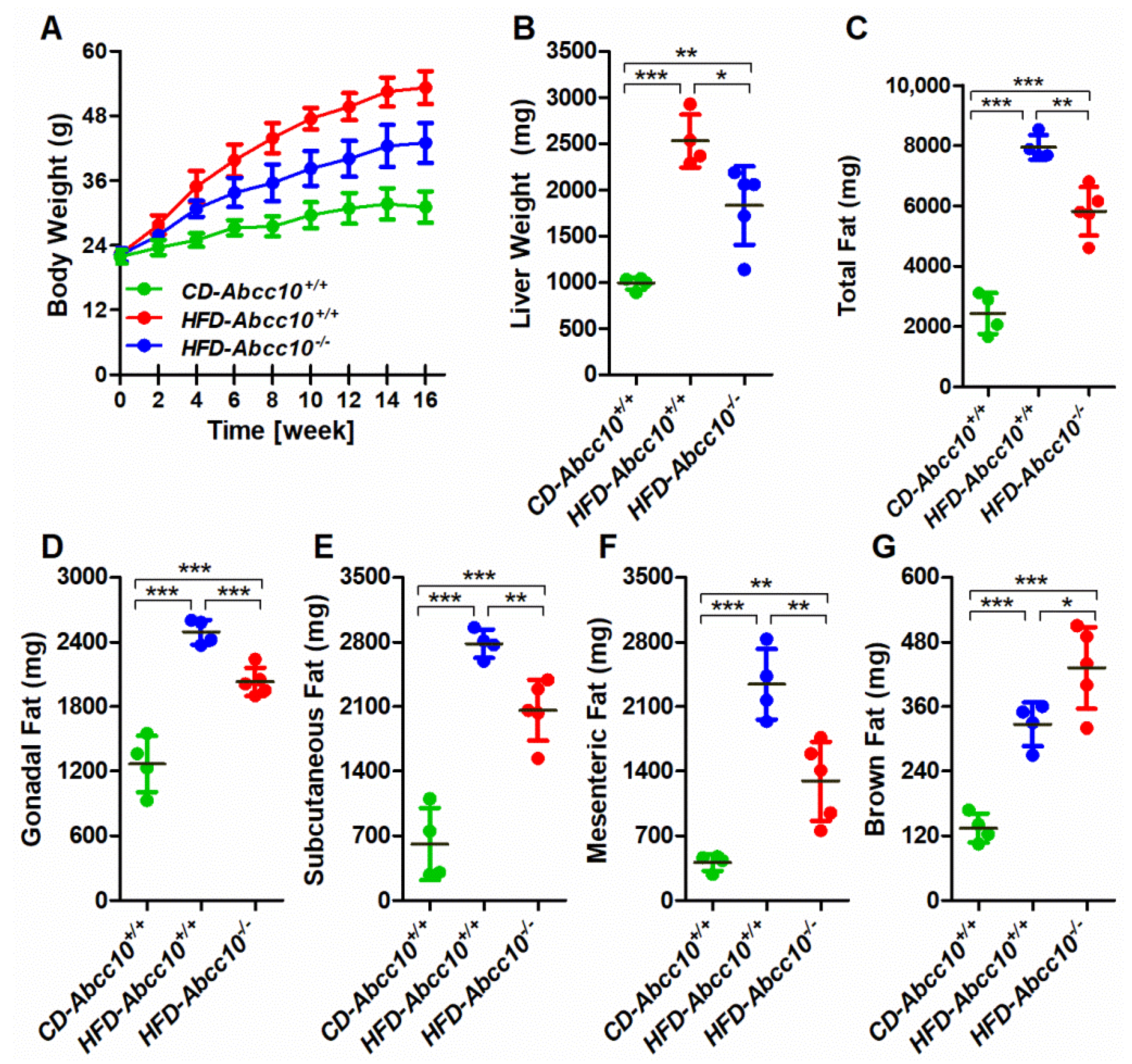 Ijms 23 13813 g002 Ijms 23 13813 g002