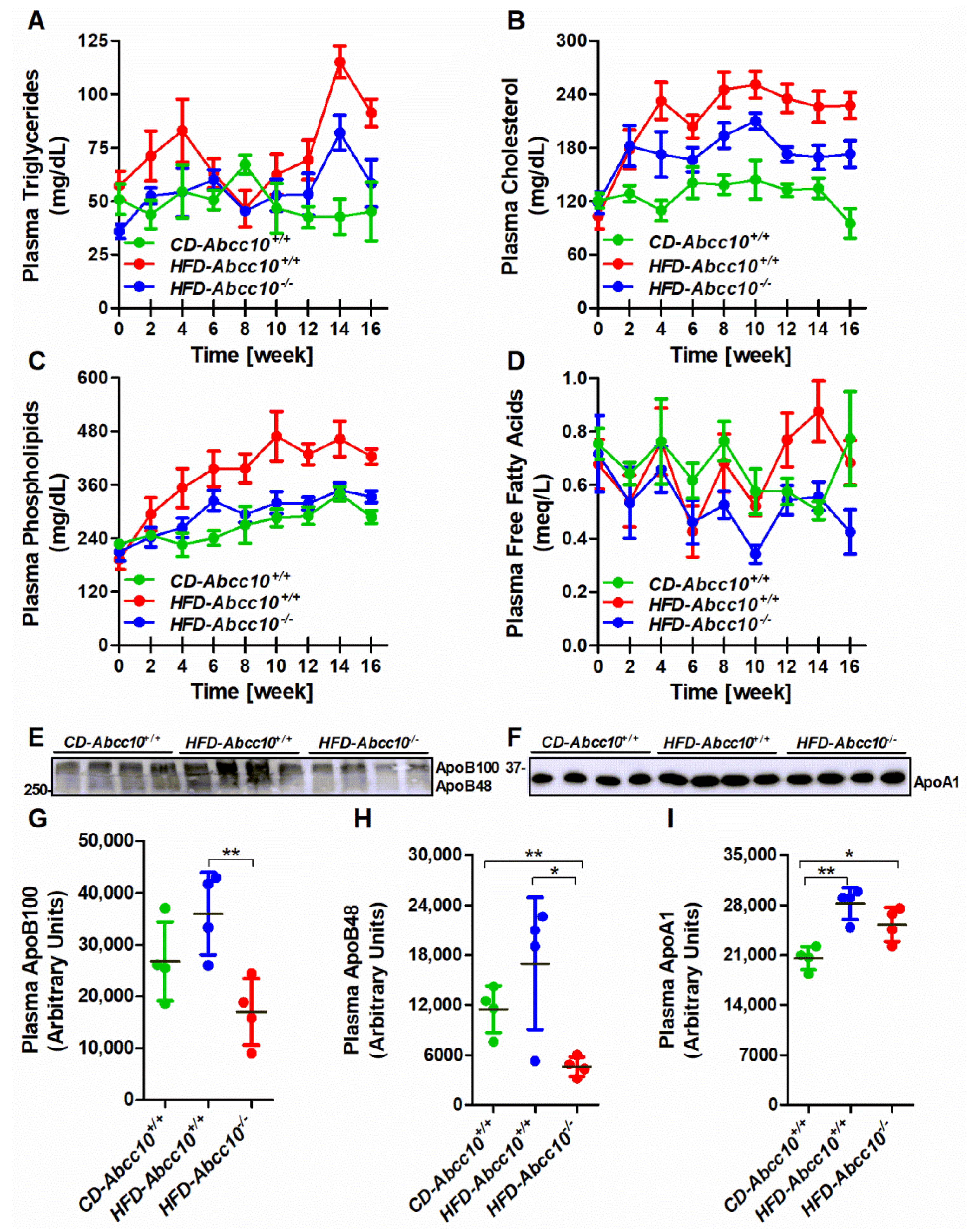 Ijms 23 13813 g003 Ijms 23 13813 g003