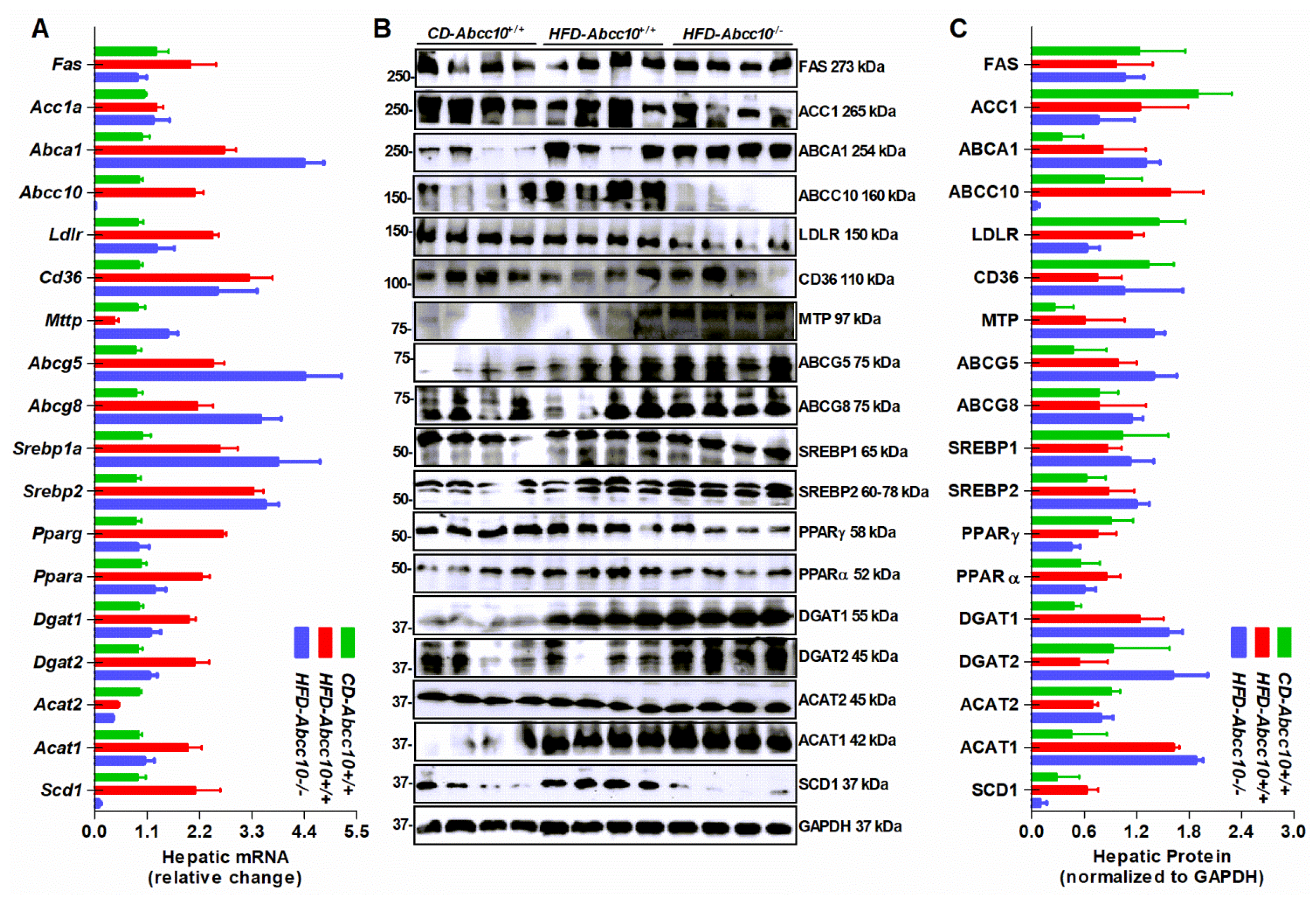 Ijms 23 13813 g007 Ijms 23 13813 g007