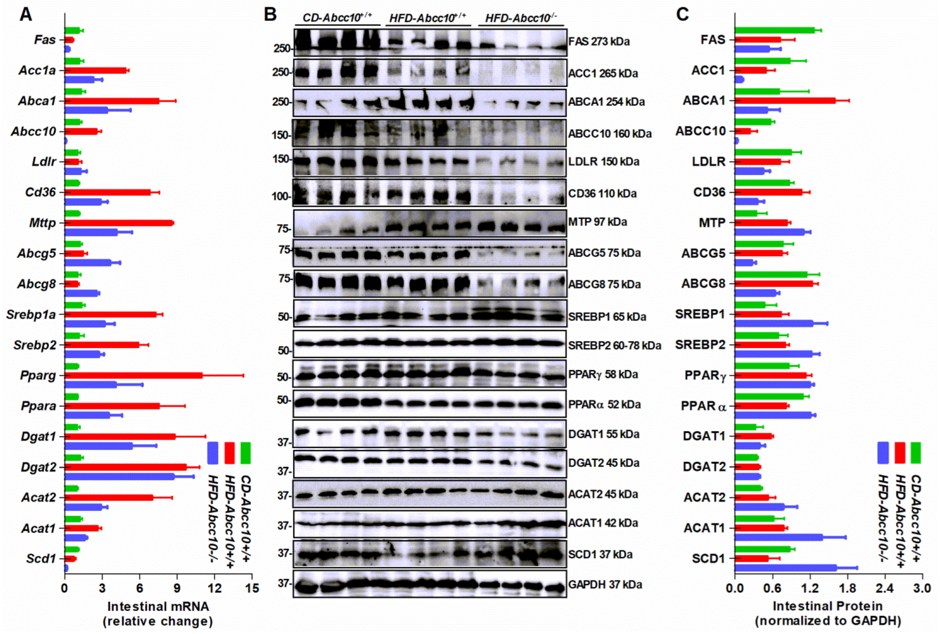 Ijms 23 13813 g008 Ijms 23 13813 g008
