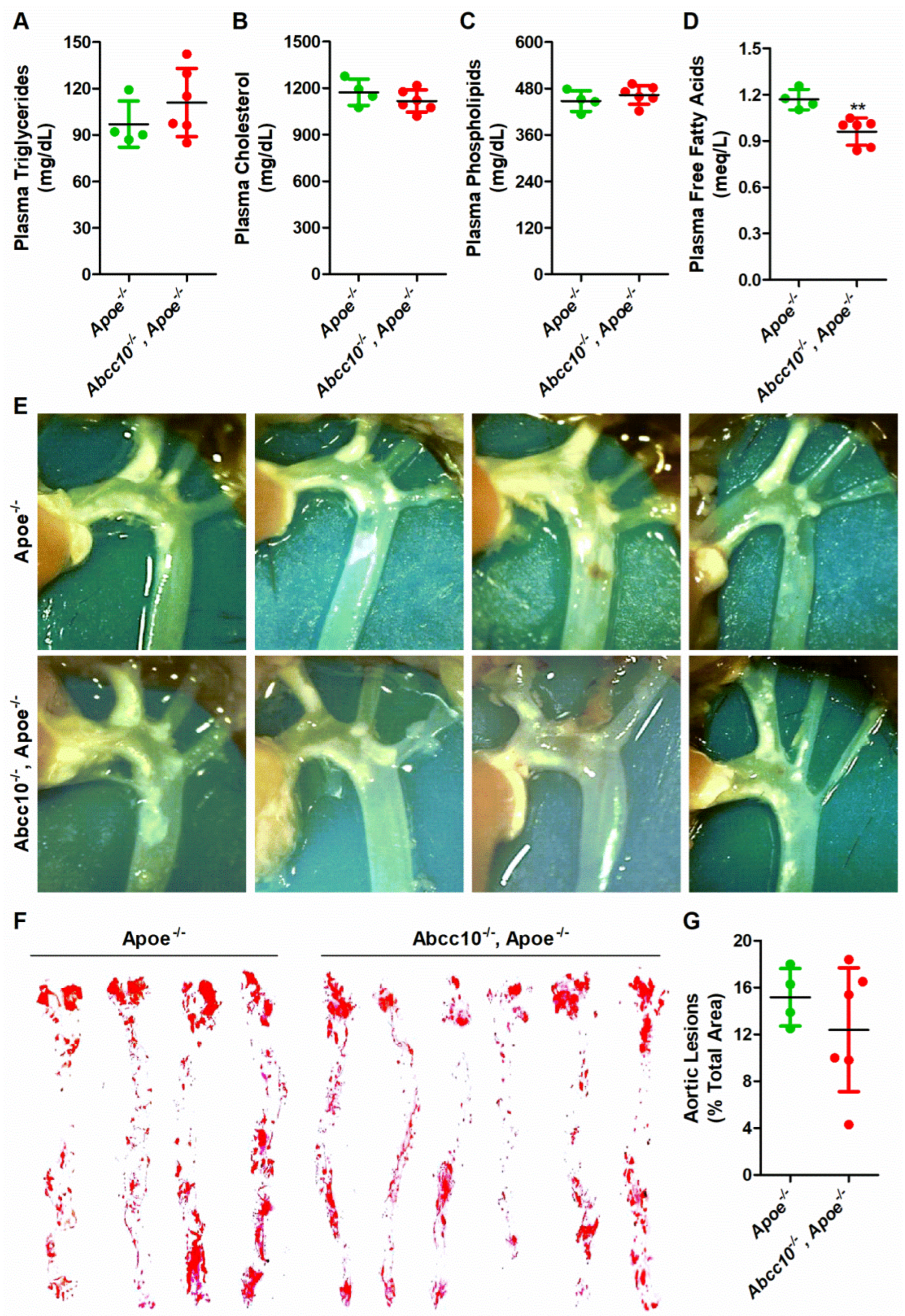 Ijms 23 13813 g010 Ijms 23 13813 g010