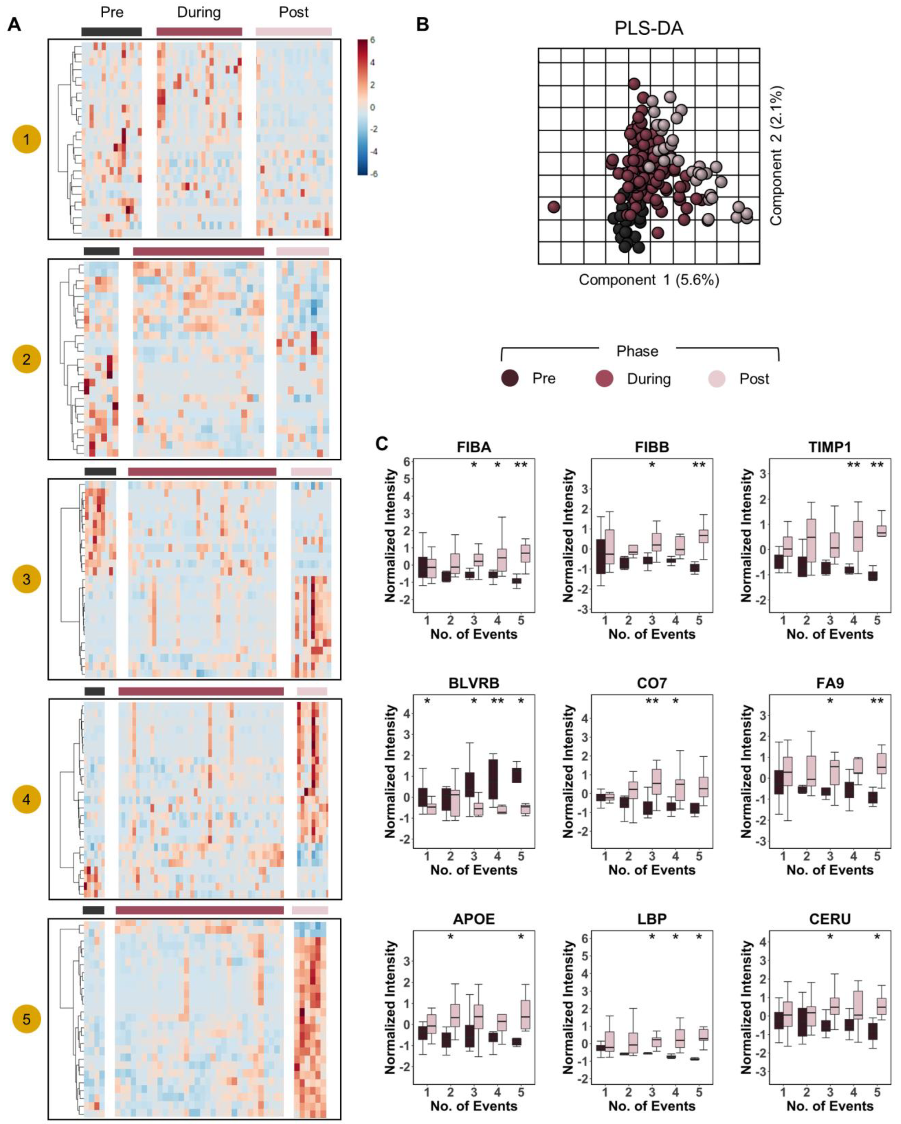 Ijms 23 13815 g007 Ijms 23 13815 g007