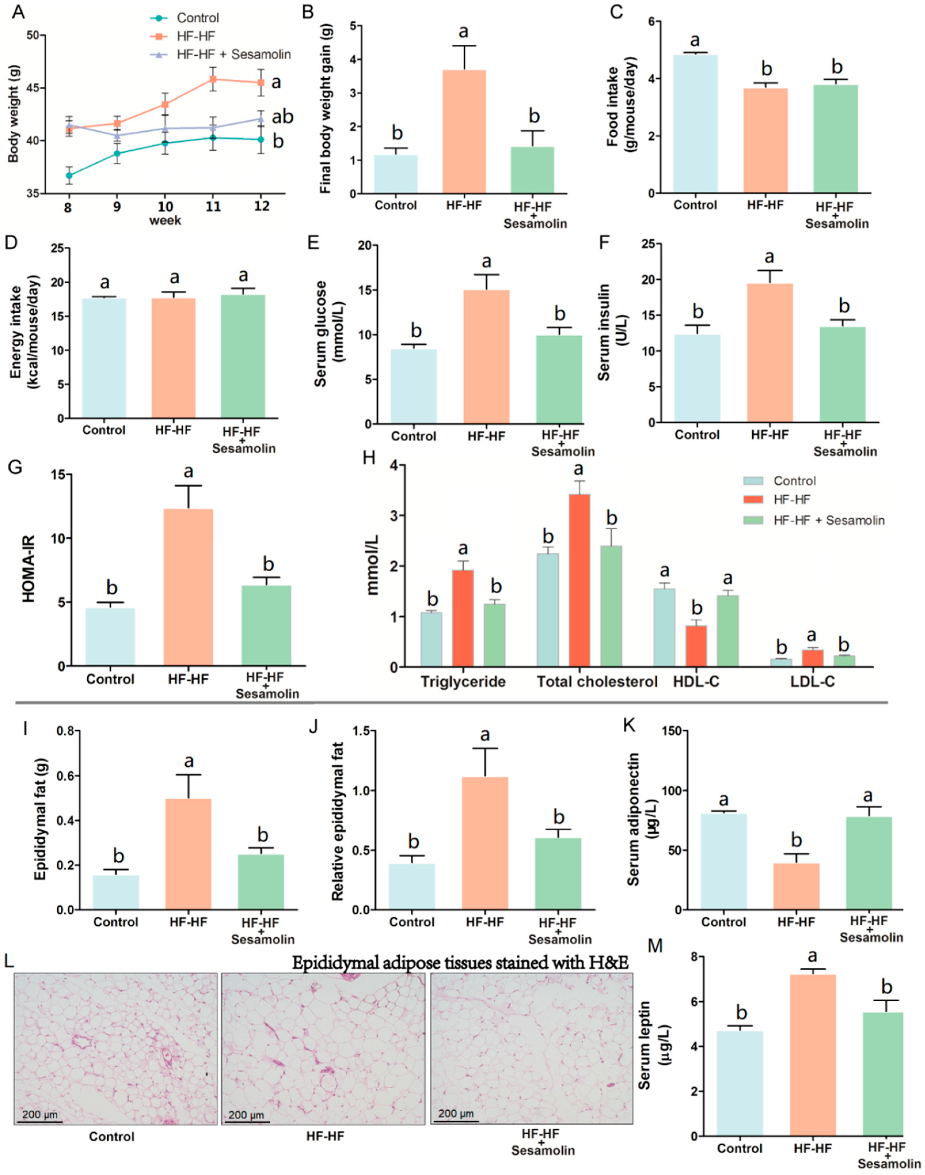 Ijms 23 13853 g001 Ijms 23 13853 g001
