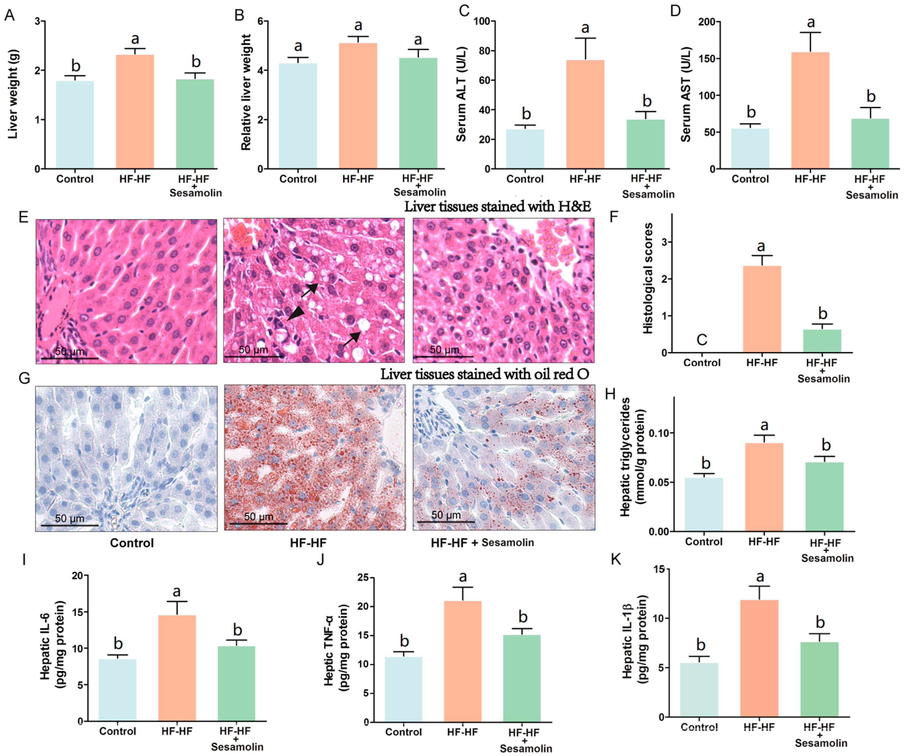 Ijms 23 13853 g003 Ijms 23 13853 g003