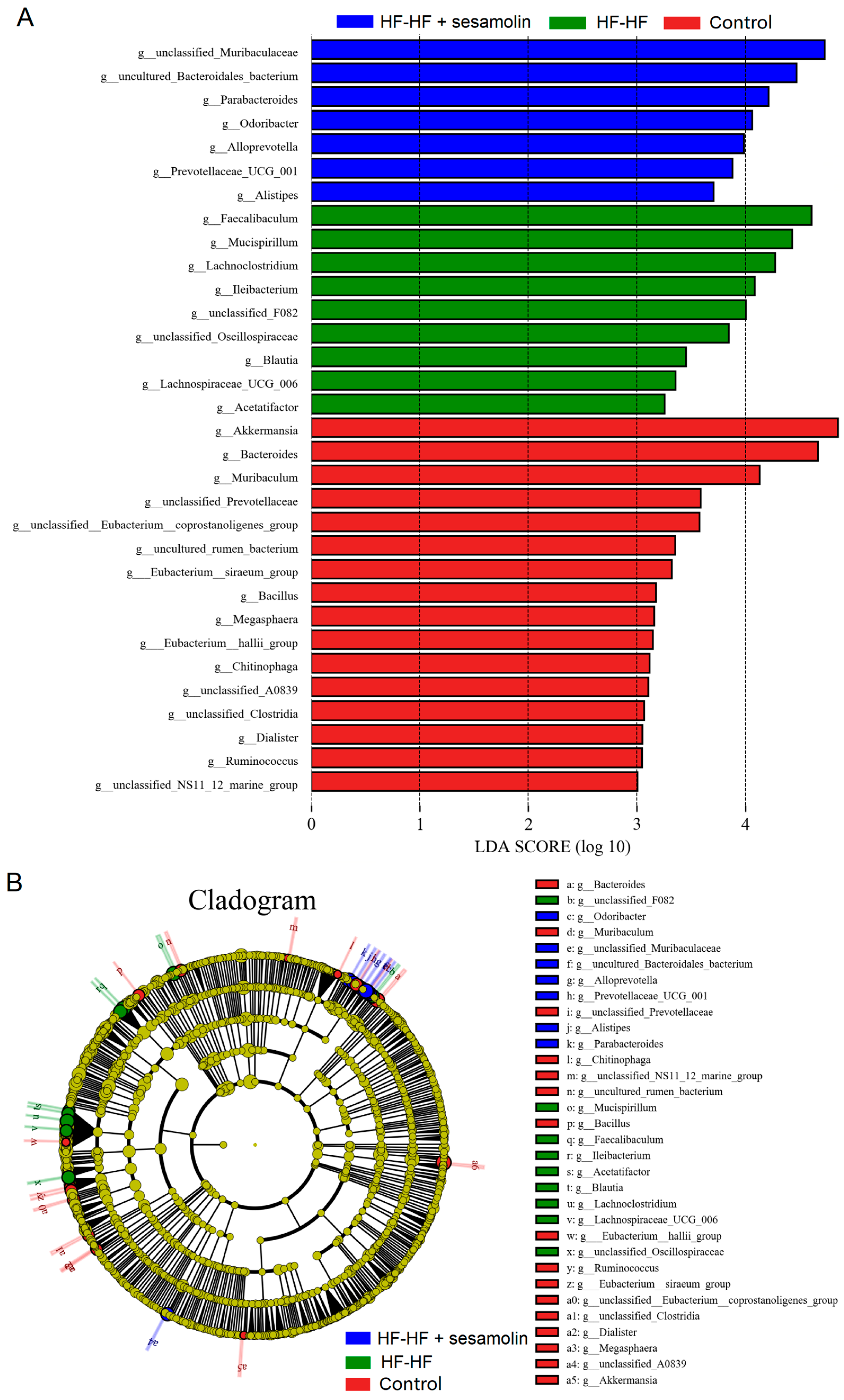 Ijms 23 13853 g005 Ijms 23 13853 g005