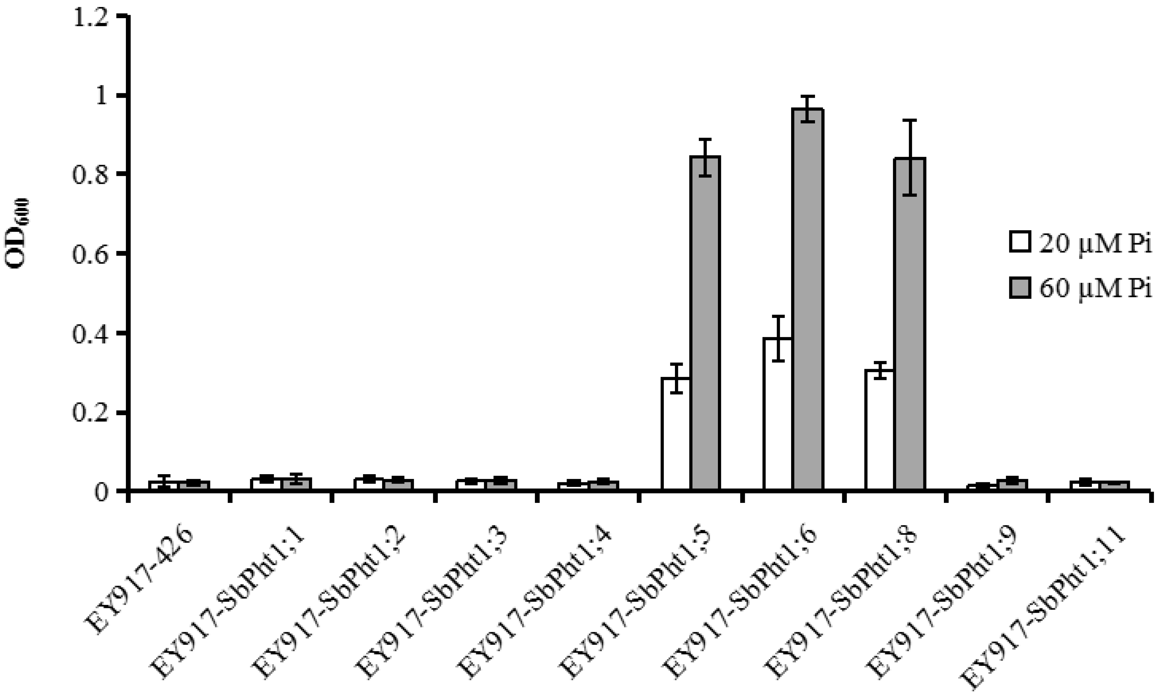 Ijms 23 13855 g007 Ijms 23 13855 g007