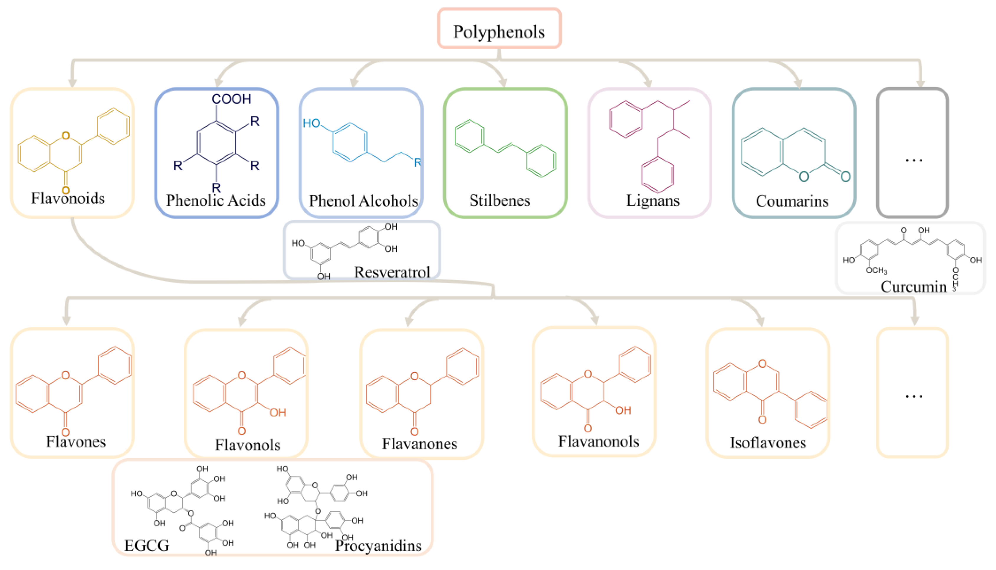 Ijms 23 13886 g001 Ijms 23 13886 g001