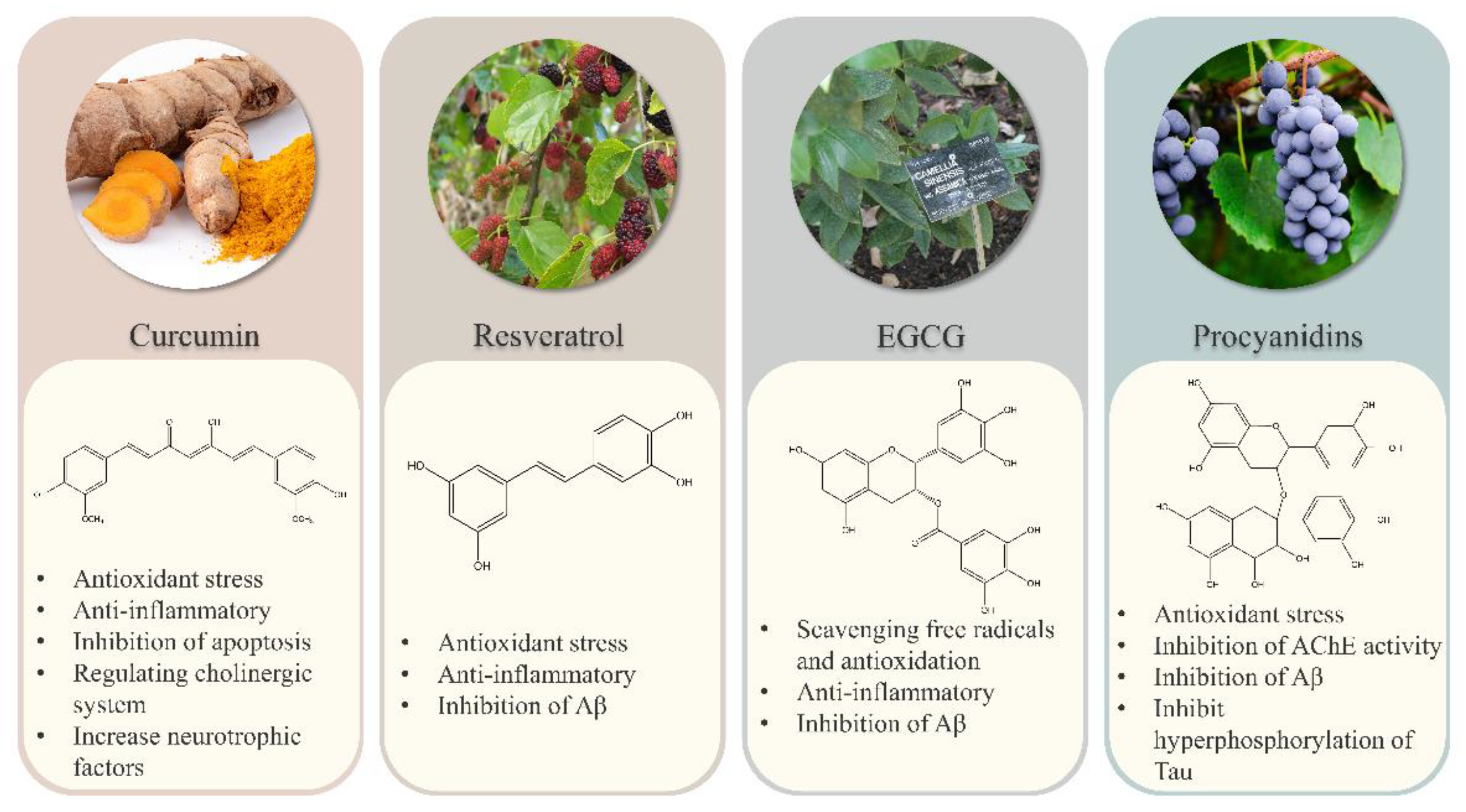 Ijms 23 13886 g006 Ijms 23 13886 g006