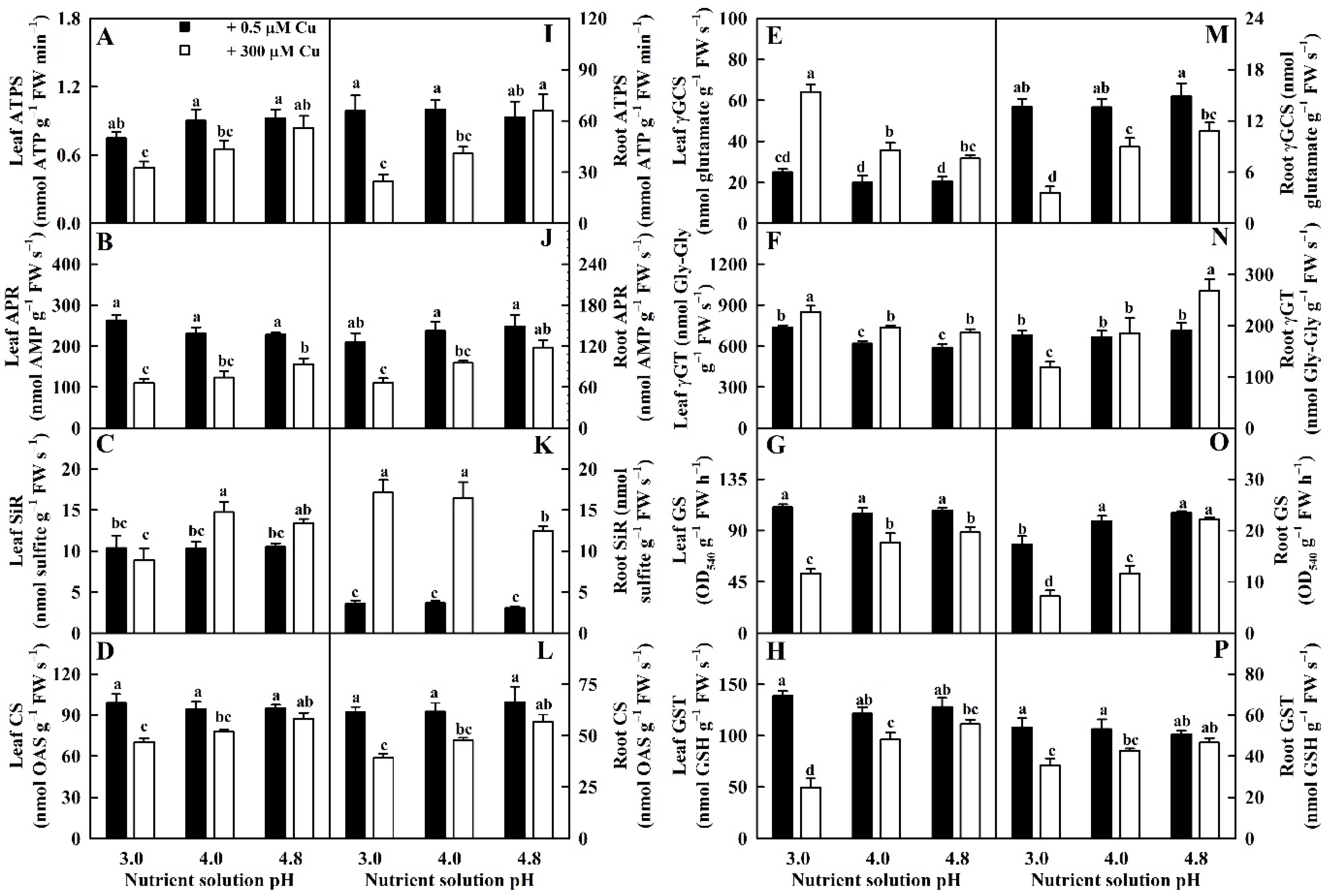 Ijms 23 13896 g003 Ijms 23 13896 g003