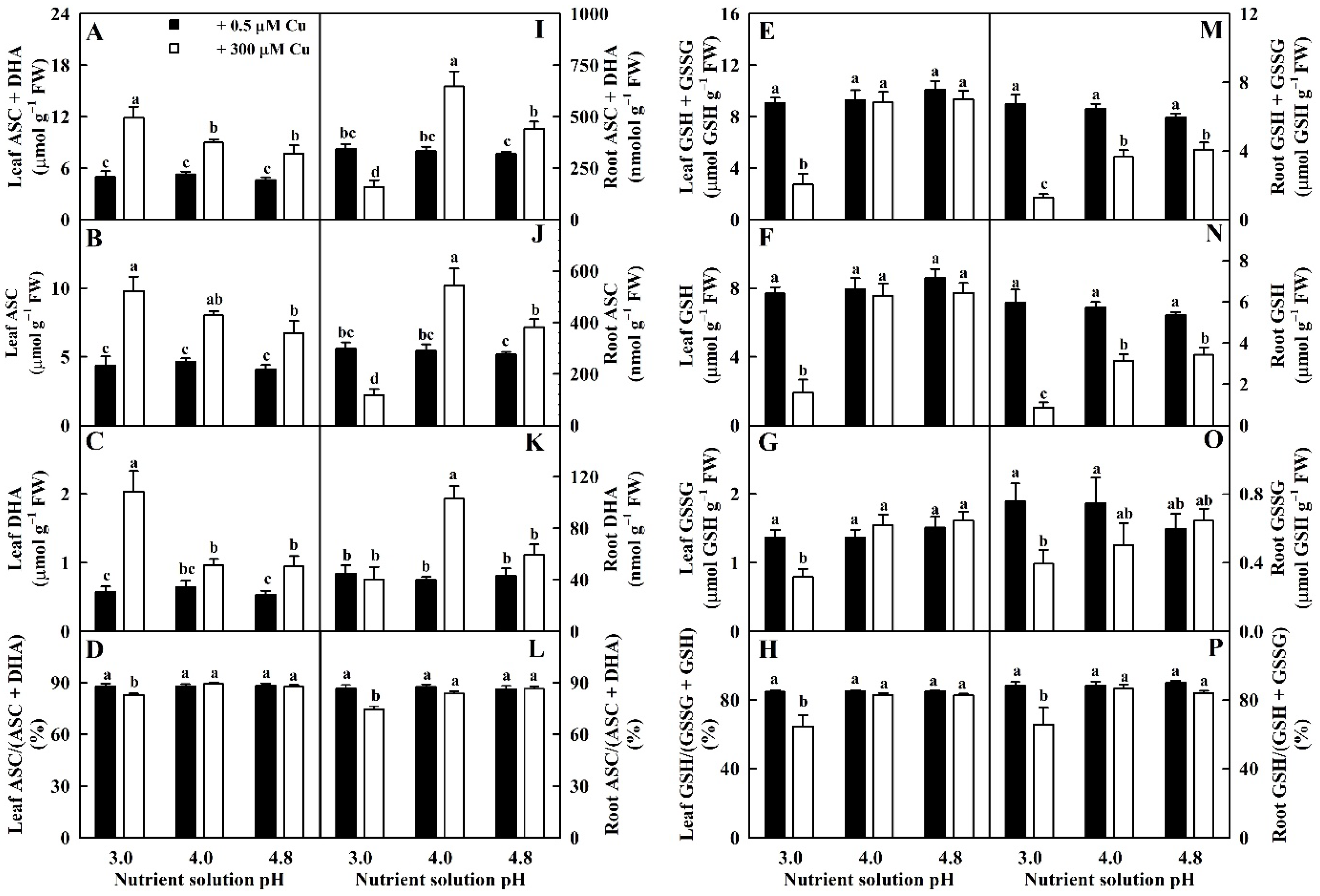 Ijms 23 13896 g005 Ijms 23 13896 g005