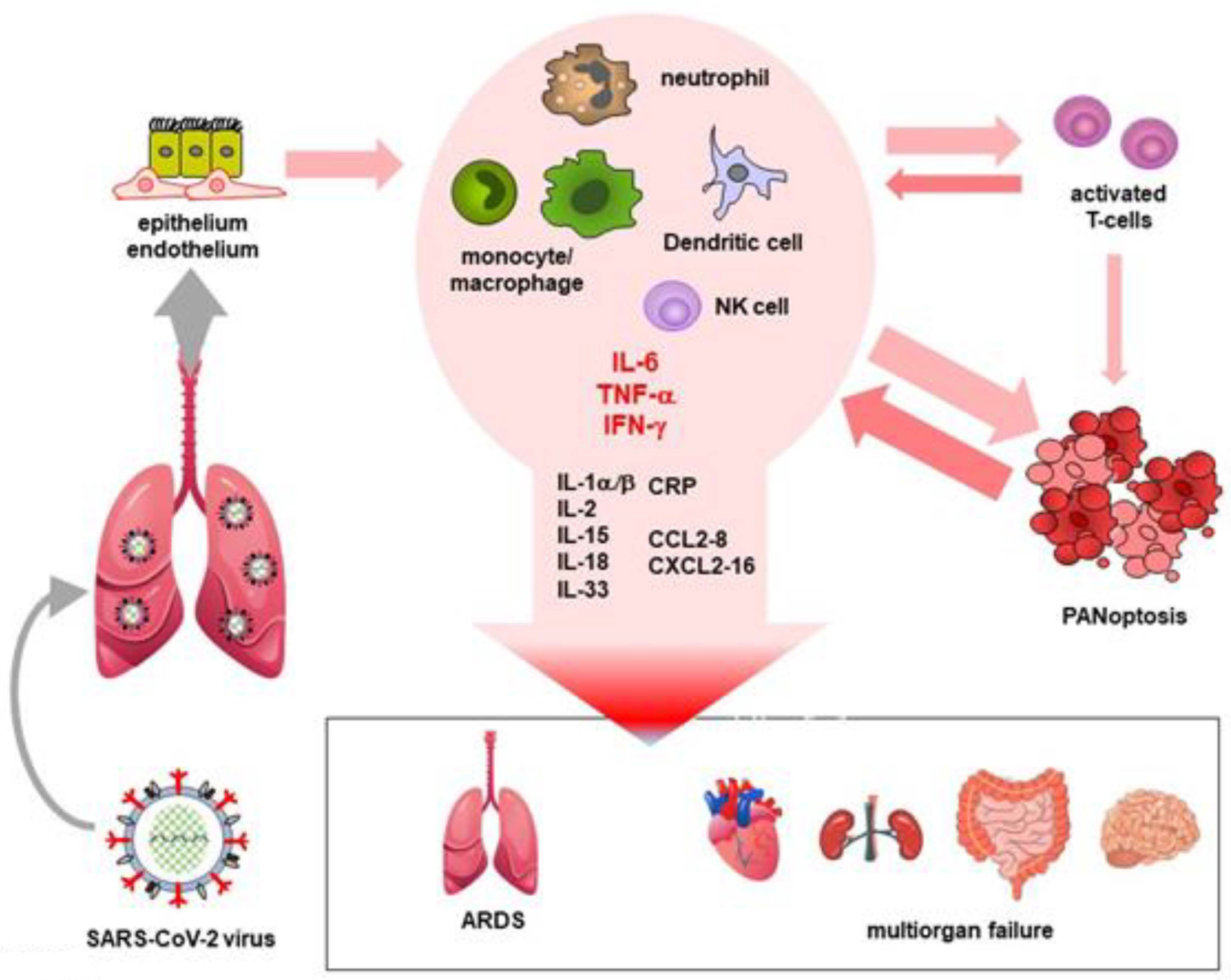 Ijms 23 13951 g003 Ijms 23 13951 g003