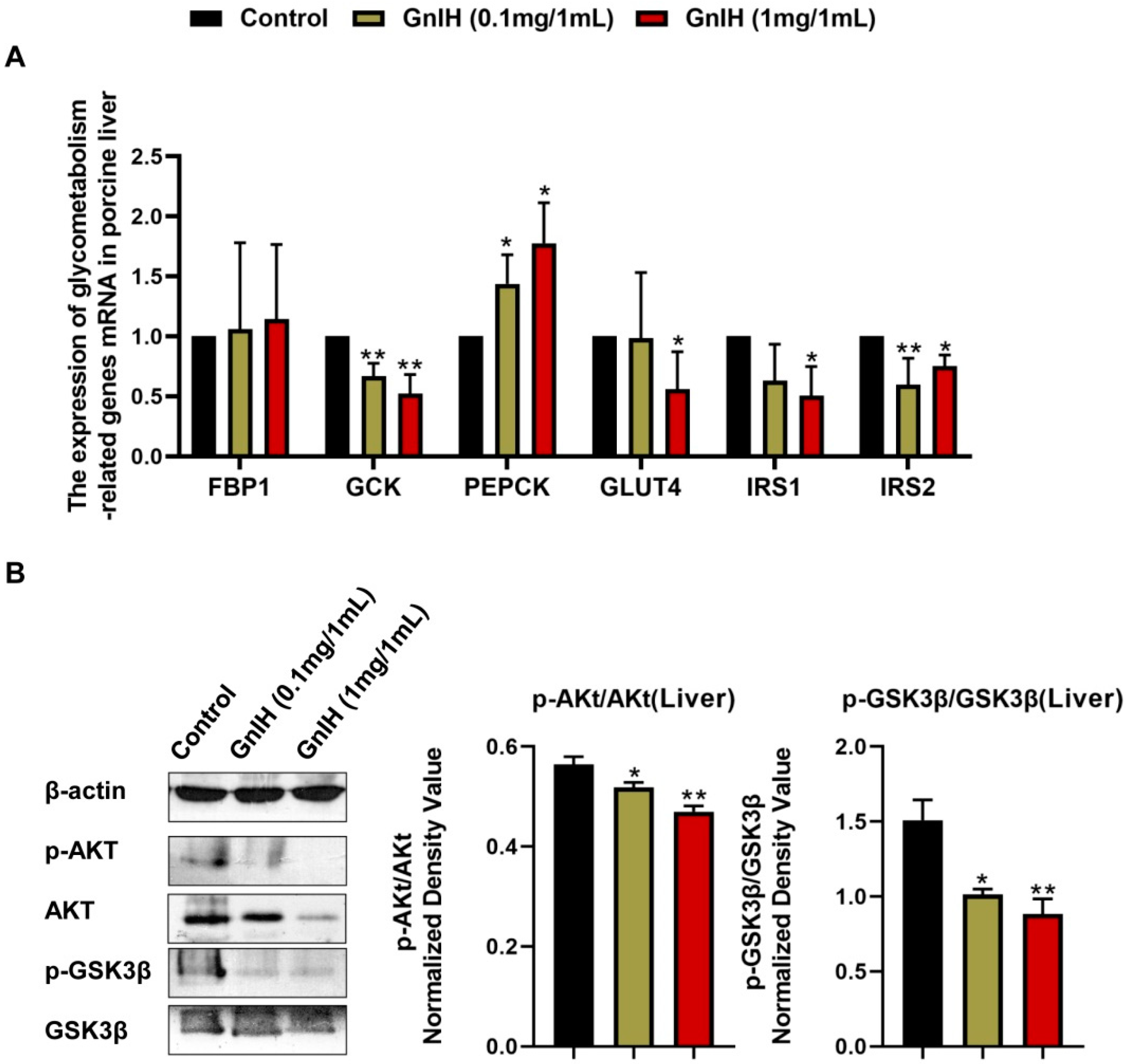 Ijms 23 13956 g004 Ijms 23 13956 g004